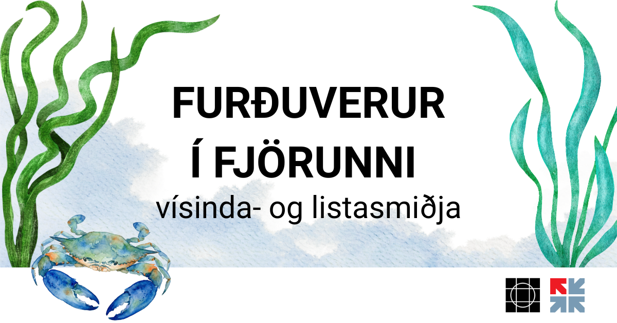 Furðuverur í Fjörunni