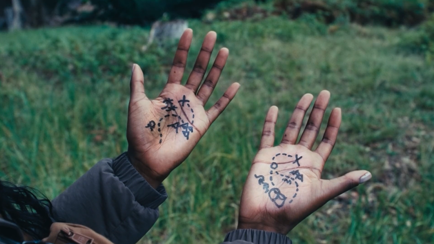 Two hands with numbered markings for a game or puzzle, held up against a grassy outdoor background.