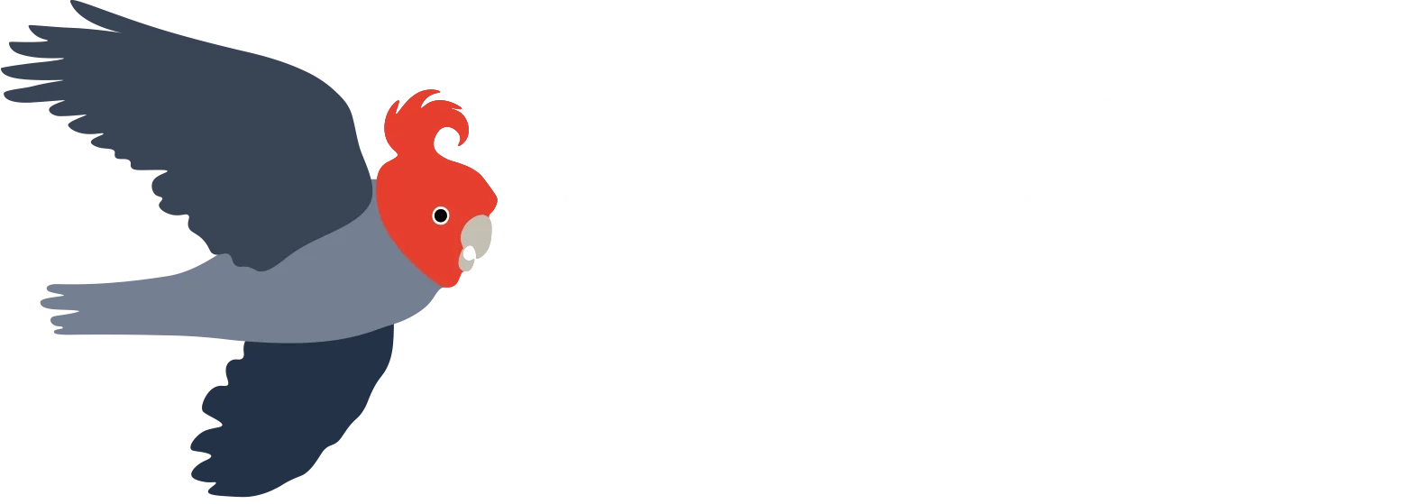 Dr Ben Wagstaff Paediatric surgeon Canberra