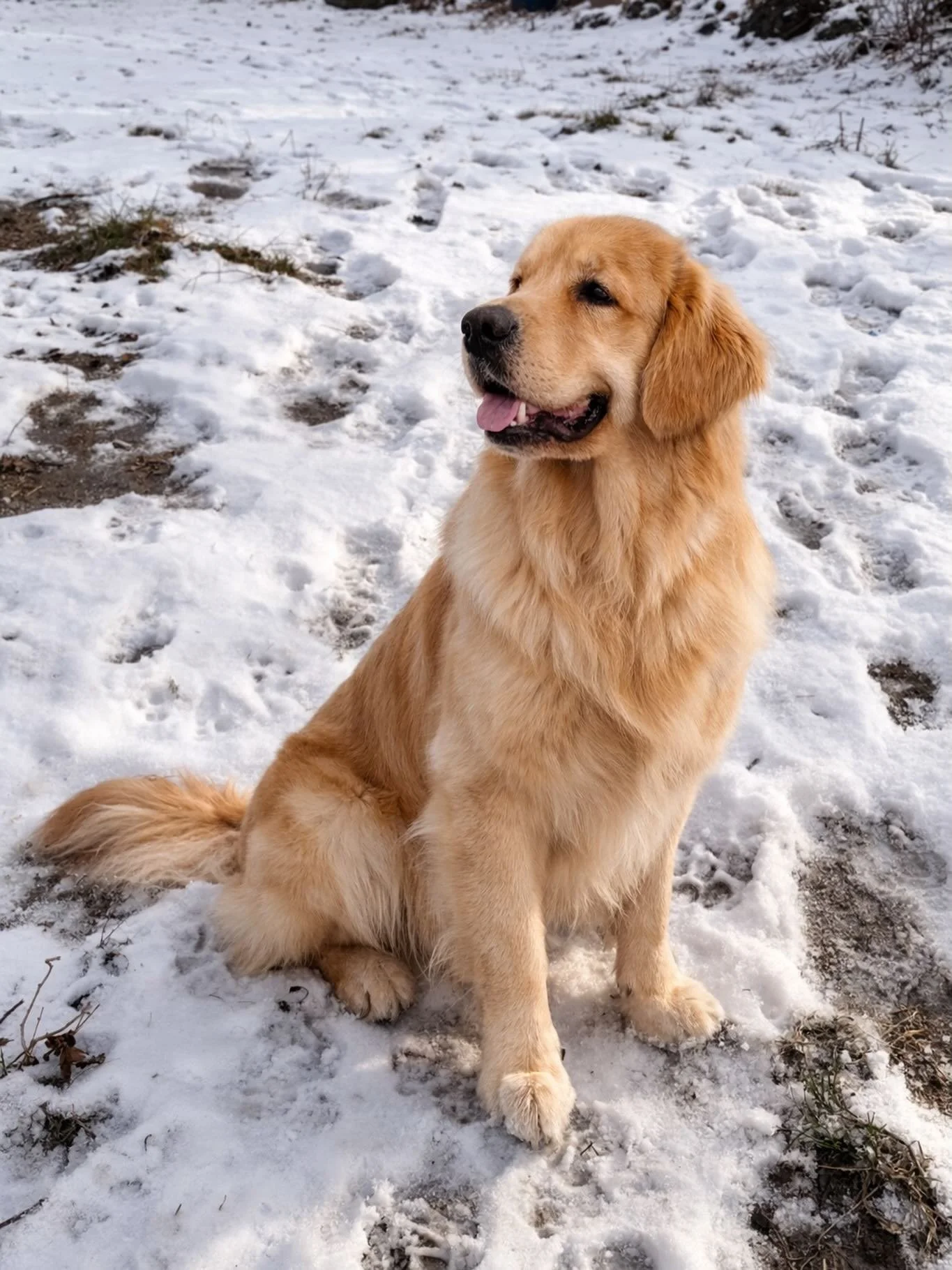 Winter walks, warm heart. ❄️🤍