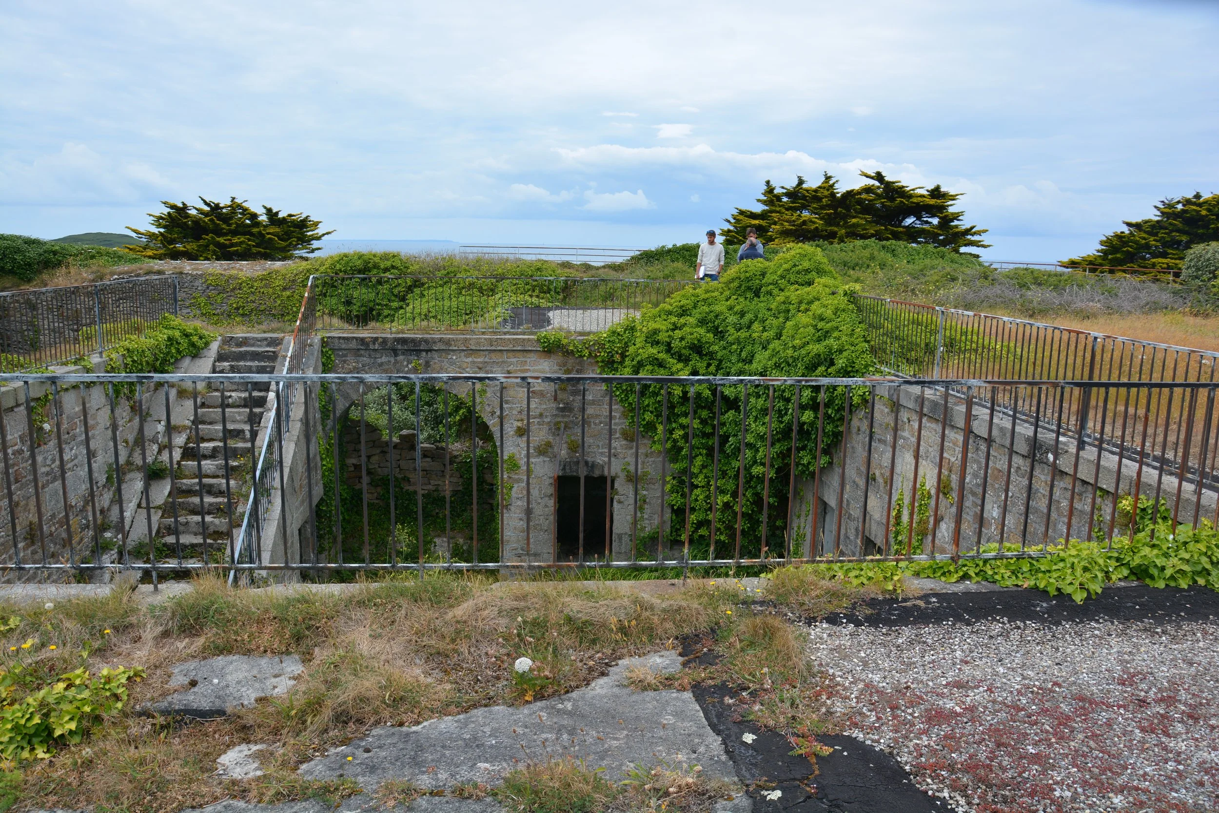 DSC_8957.jpg