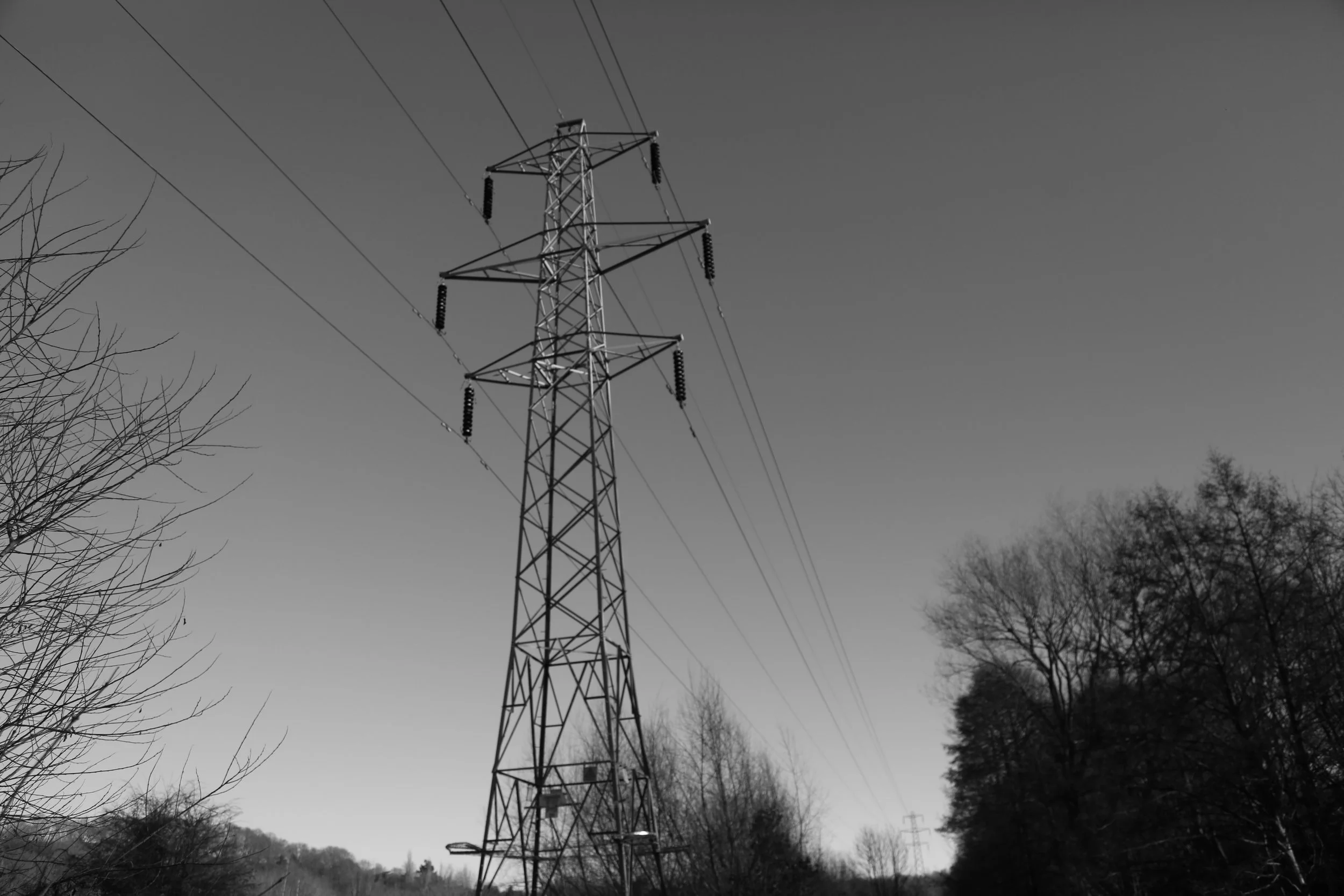 D51A9816.JPG