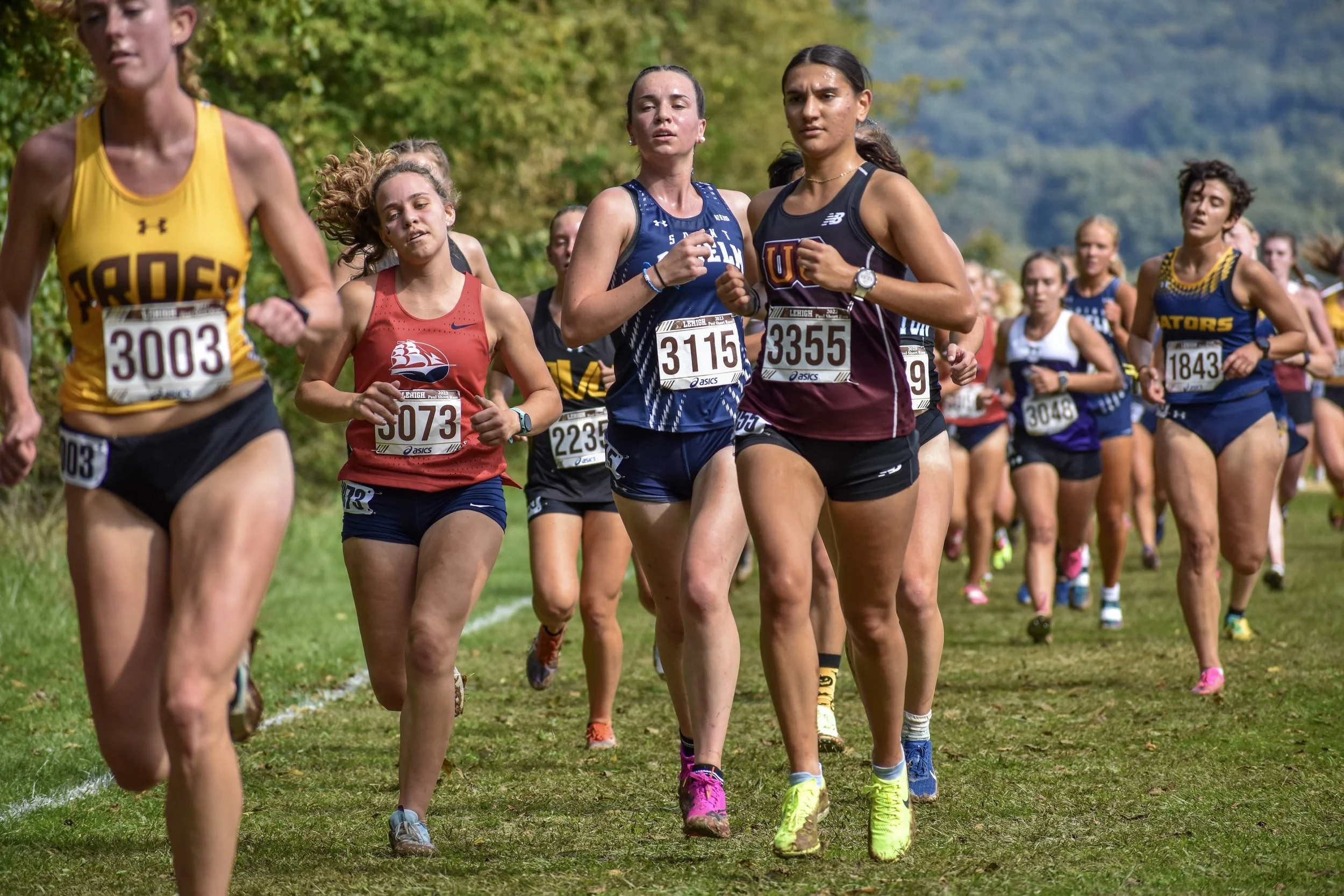 A group of female runners participating in a cross-country race, running on a grassy outdoor trail surrounded by trees, with mountains in the background.