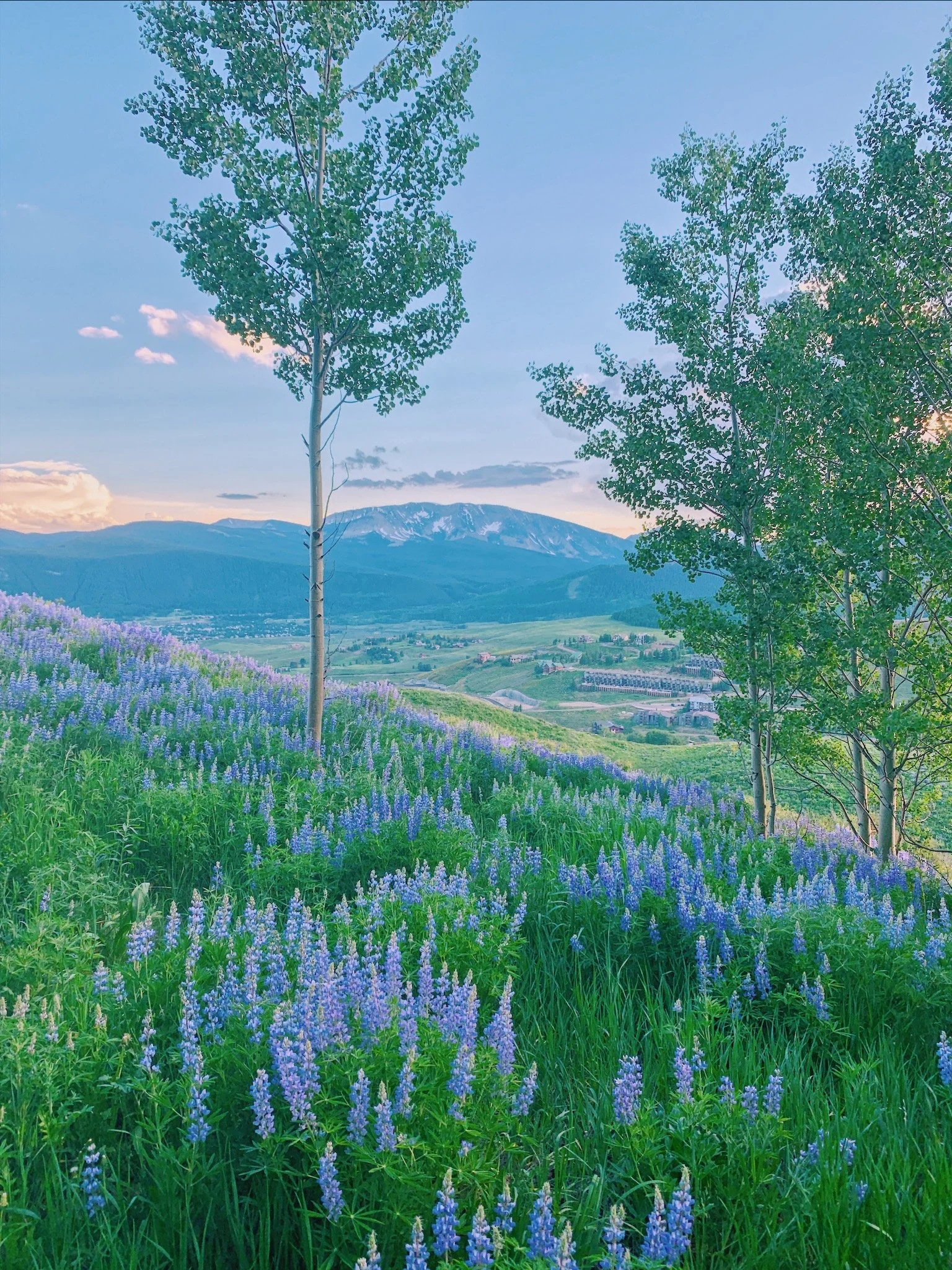 Habits &amp; Their Influence on Eating Disorders