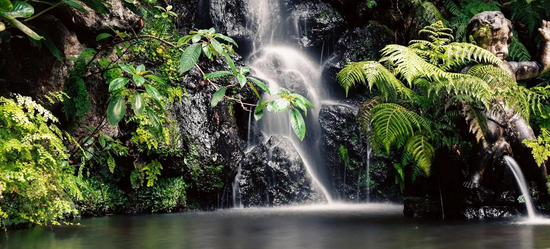 A Return to Your Inner Garden: a Guided Meditation 🌿