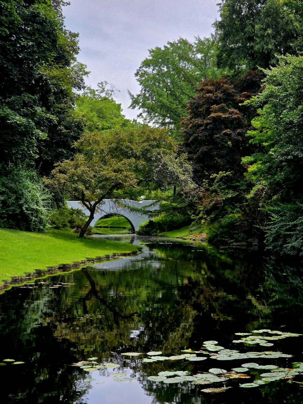 Return to Inner Peace a 10-Minute Guided Meditation 🪷