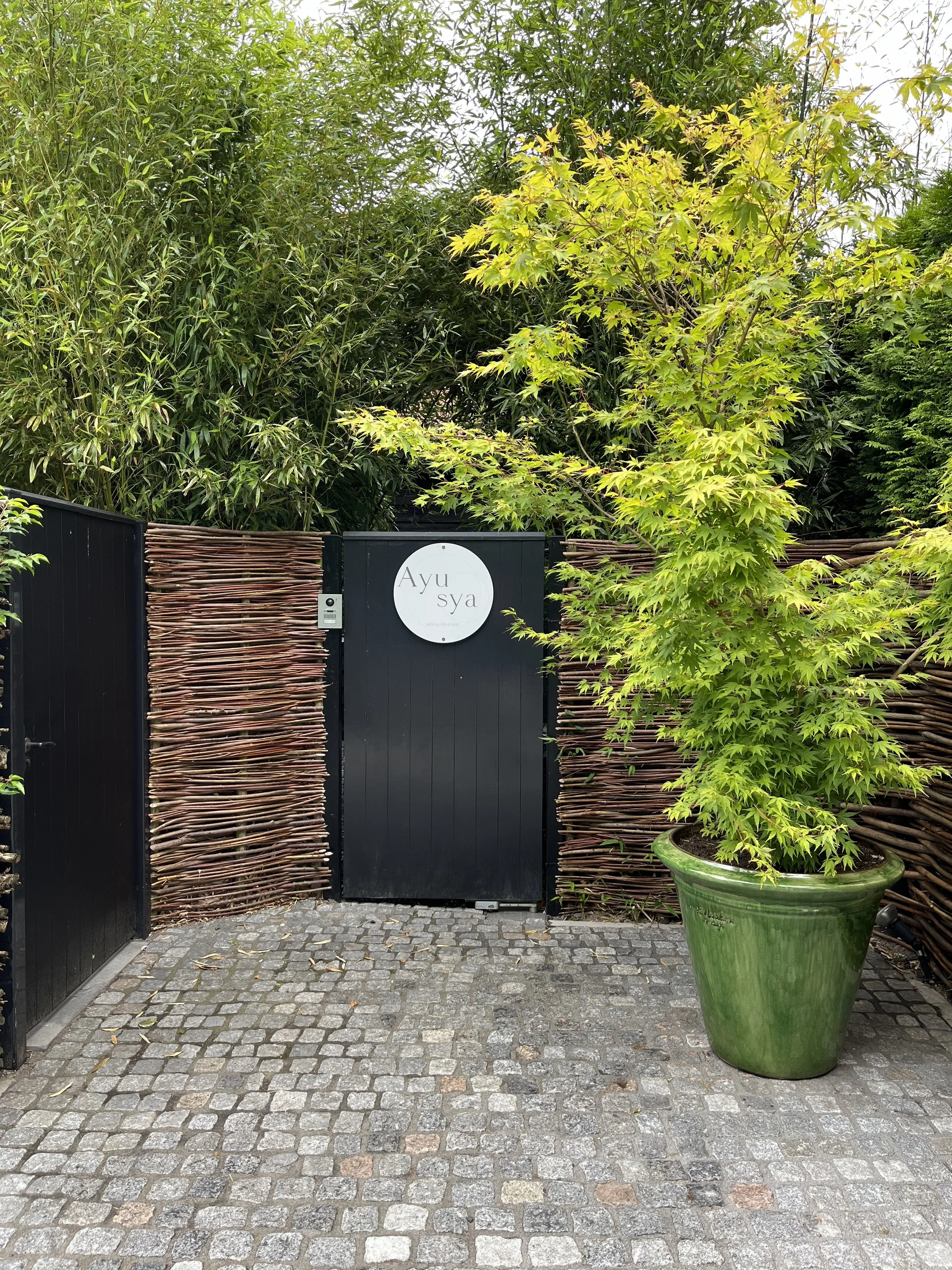 Our clinic is hidden behind the bamboo forest