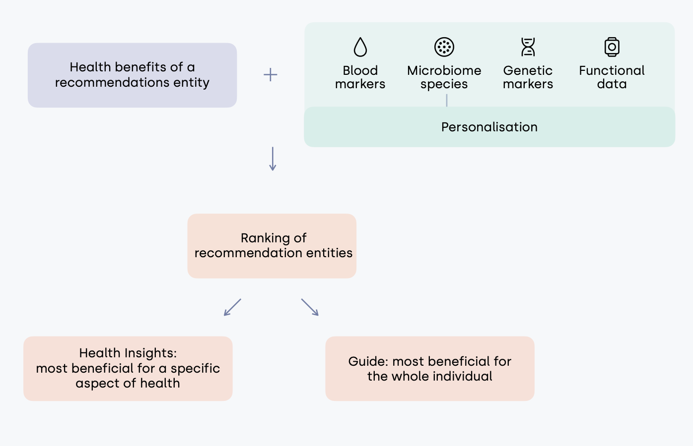 Diagram met tekst over gezondheidsvoordelen van aanbevelingsentiteit, gepersonaliseerd op basis van bloedmarkeringen, microbiële soorten, genetische markeringen en functionele data, gevolgd door ranking van aanbevelingen en health insights.