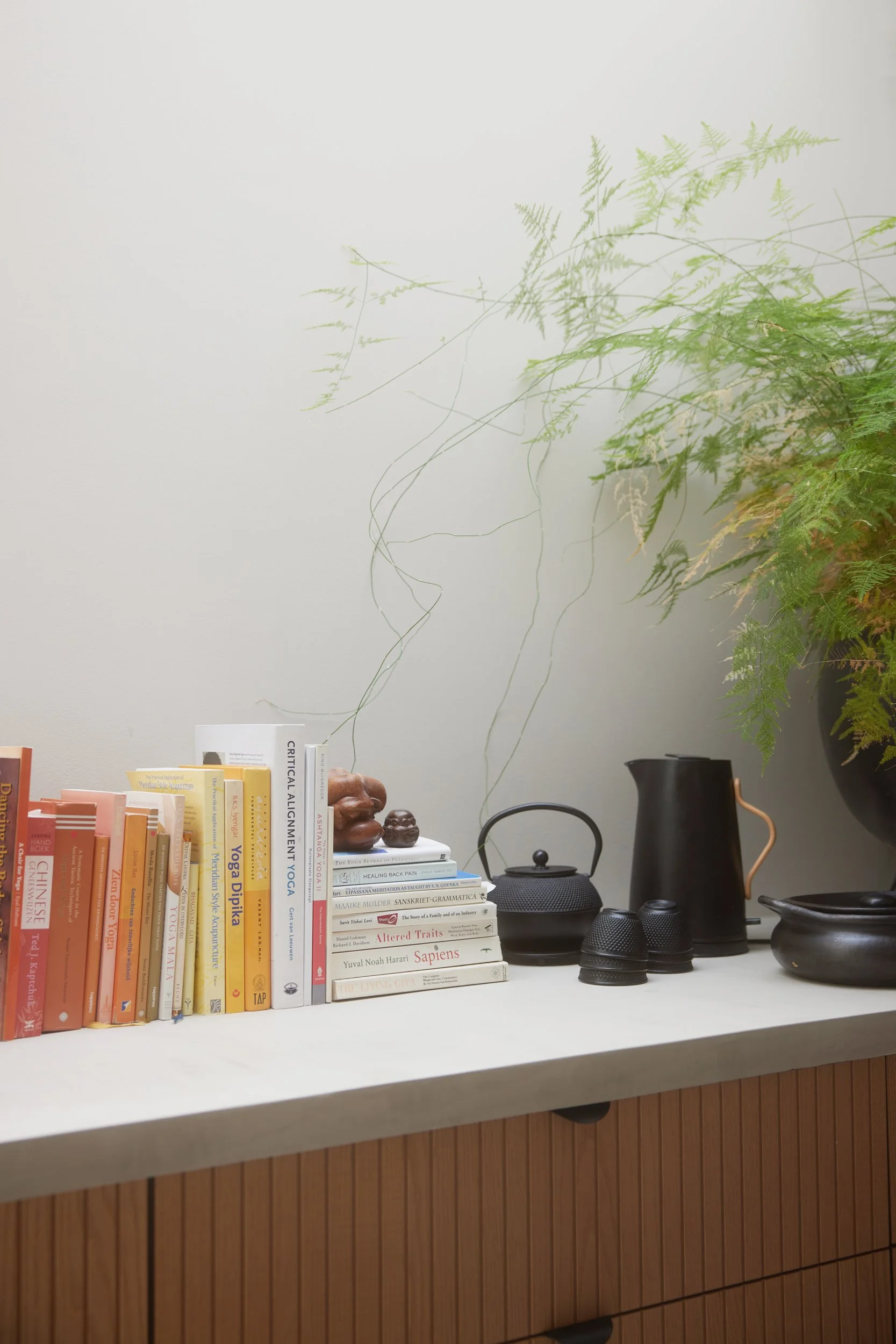 Een witte tafel met een boekenkast, enkele boeken, een blauwe theepot, een zwarte waterkruik, en een groene plant tegen een witte muur.