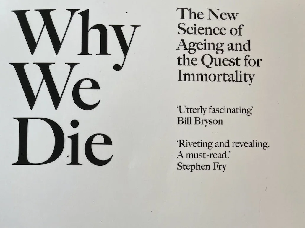 What are you reading?