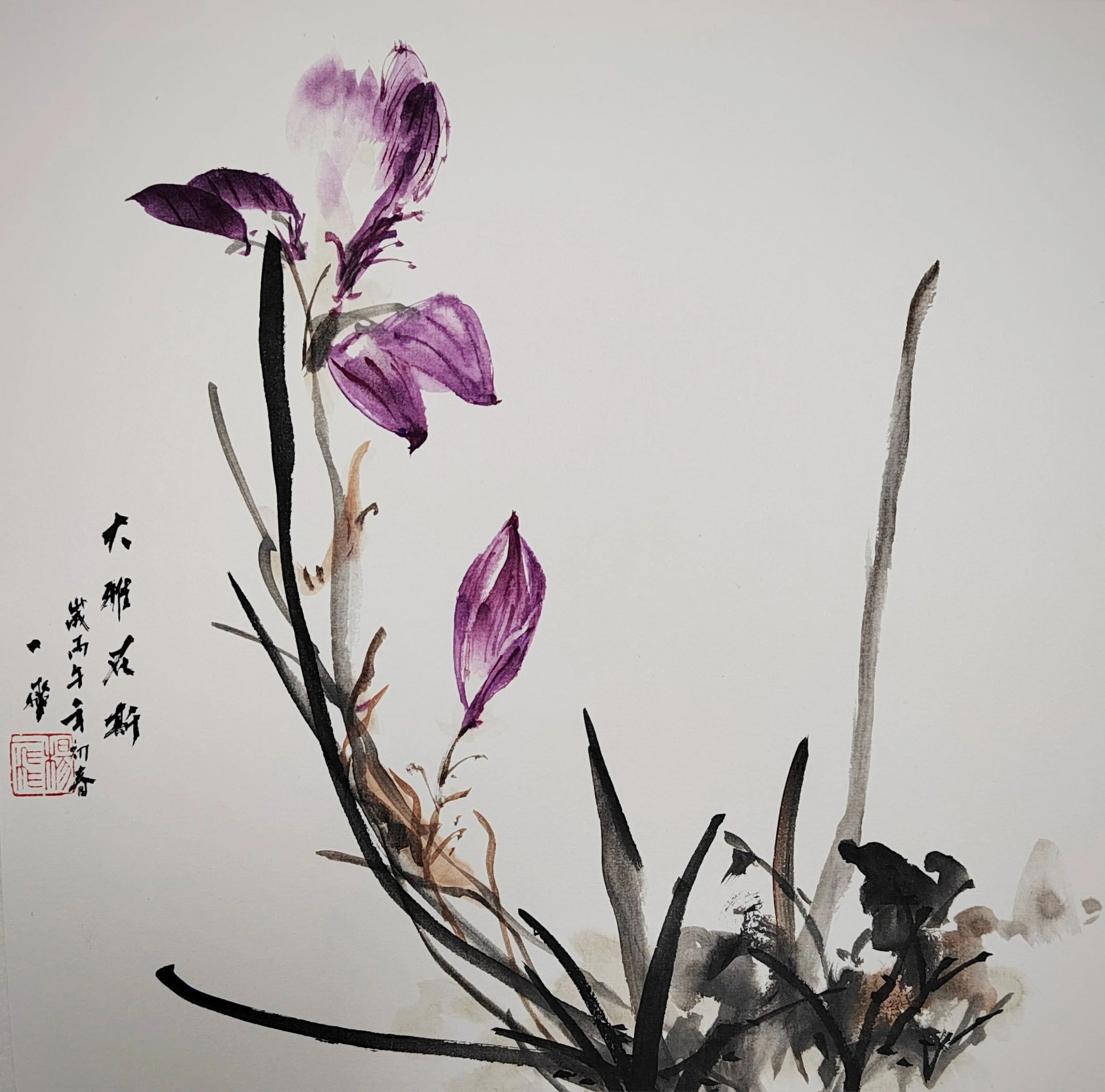 Elegance of orchids, Yang Yifei, 2026