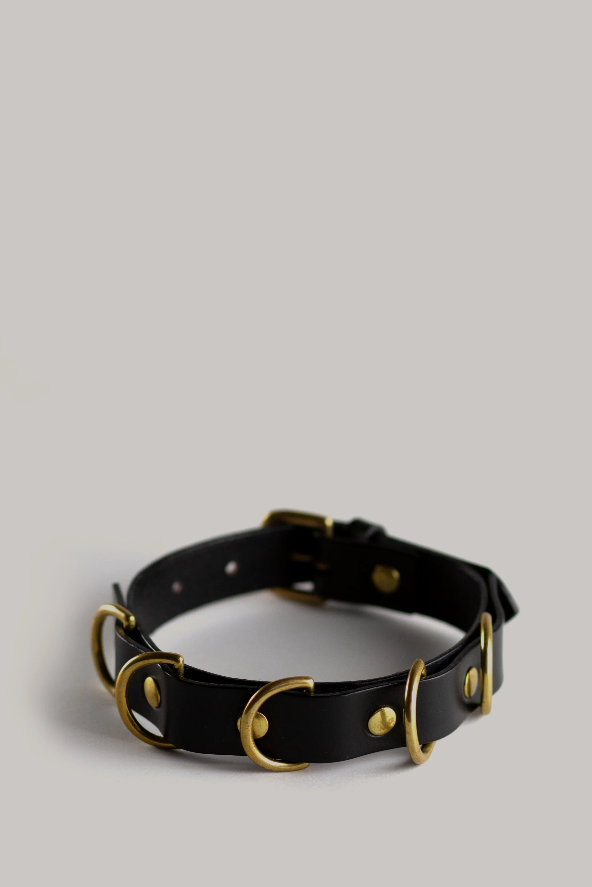 LEATHER AND BRASS DOG COLLAR