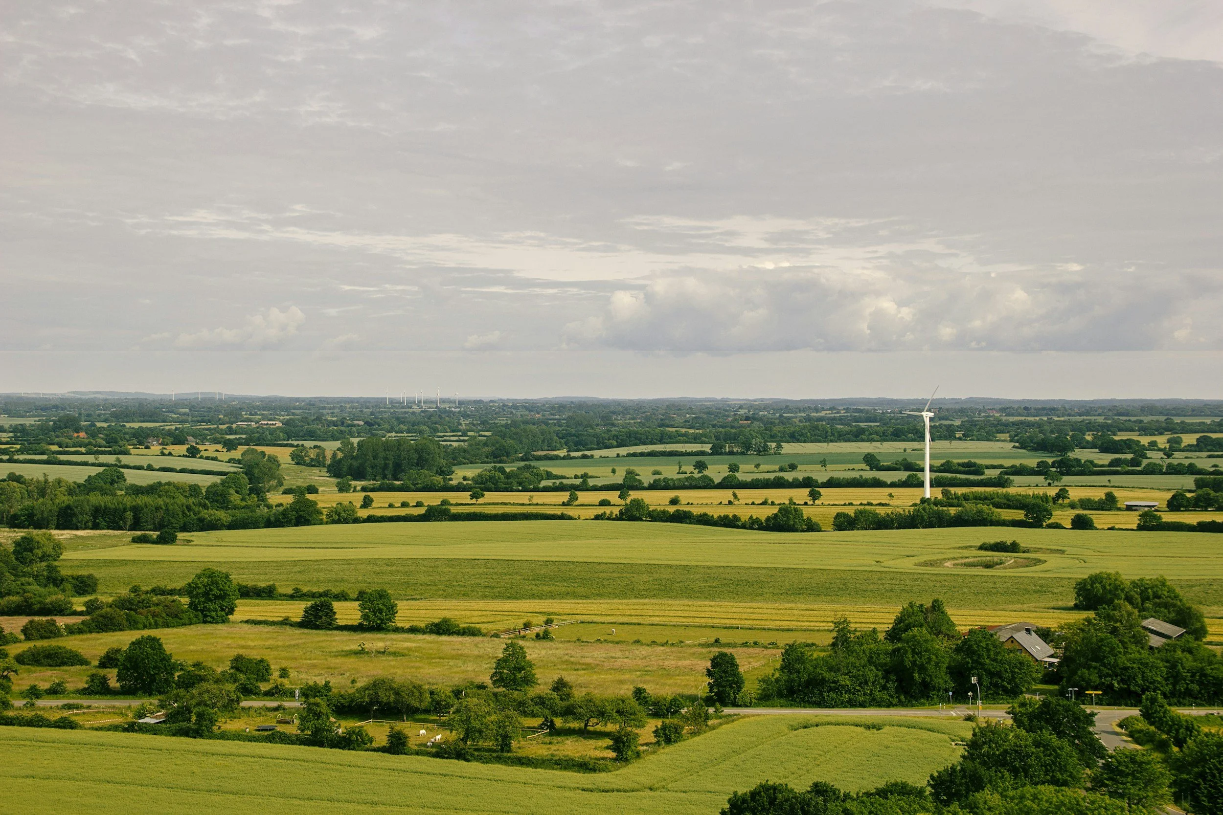 A panoramic view of a rural landscape with farmland, scattered trees, and wind turbines in the distance under a cloudy sky.