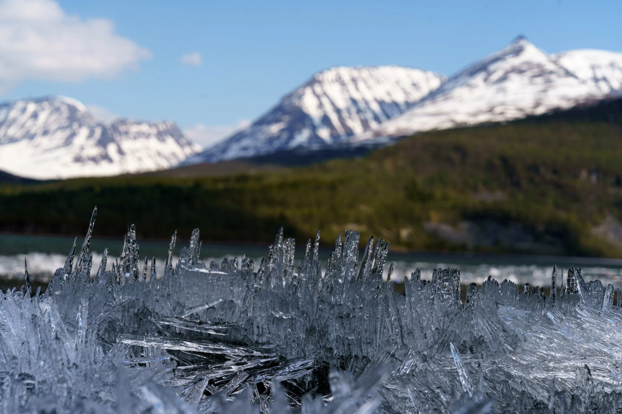 20240528_sukkwan_island BDE06251.jpg