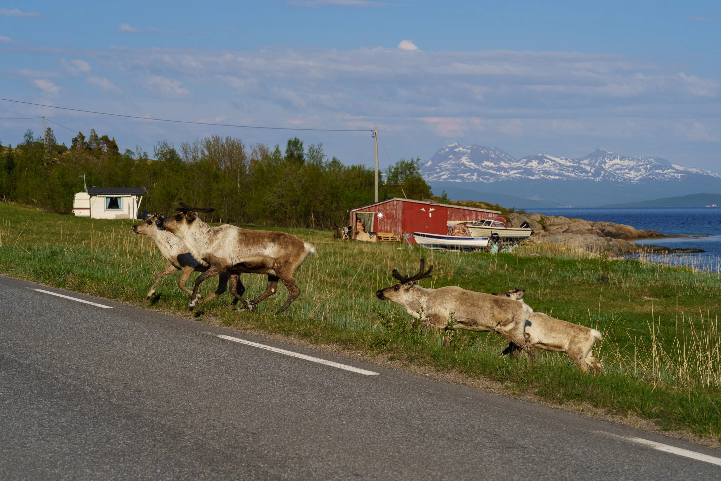 20240530_sukkwan_island BDE06368.jpg