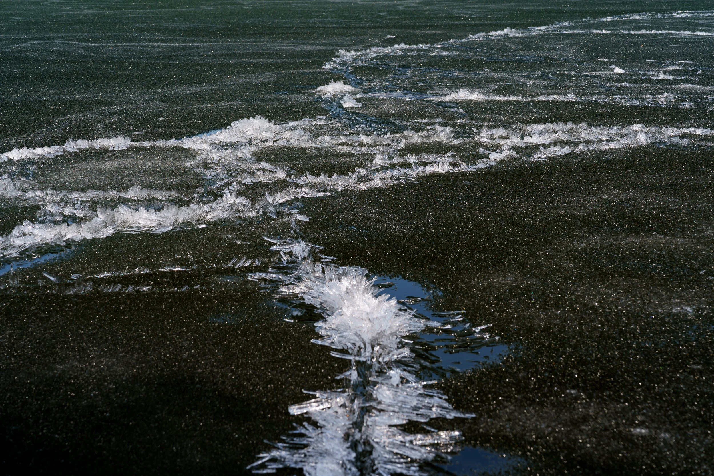 20240528_sukkwan_island BDE06240.jpg