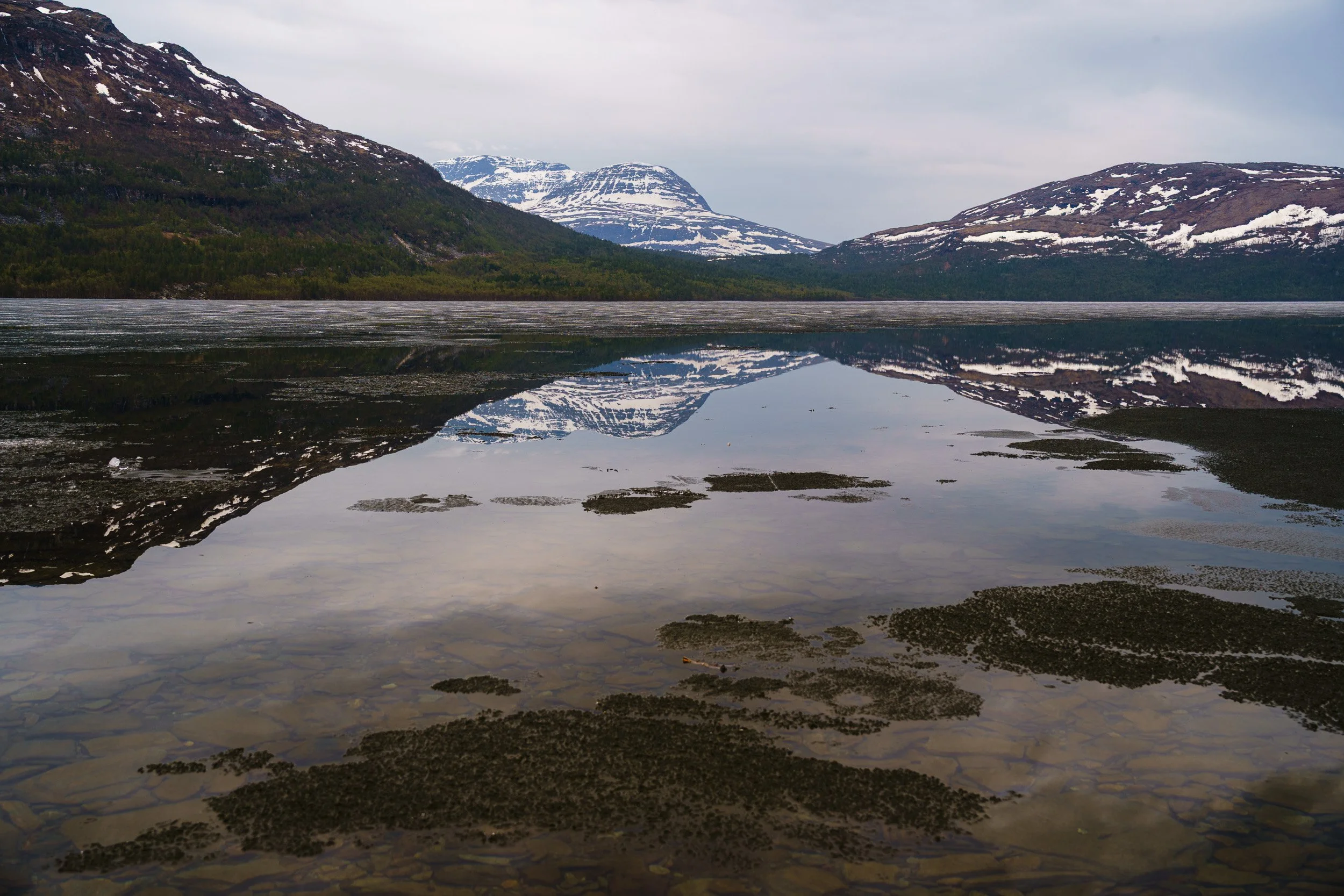 20240527_sukkwan_island BDE06157.jpg