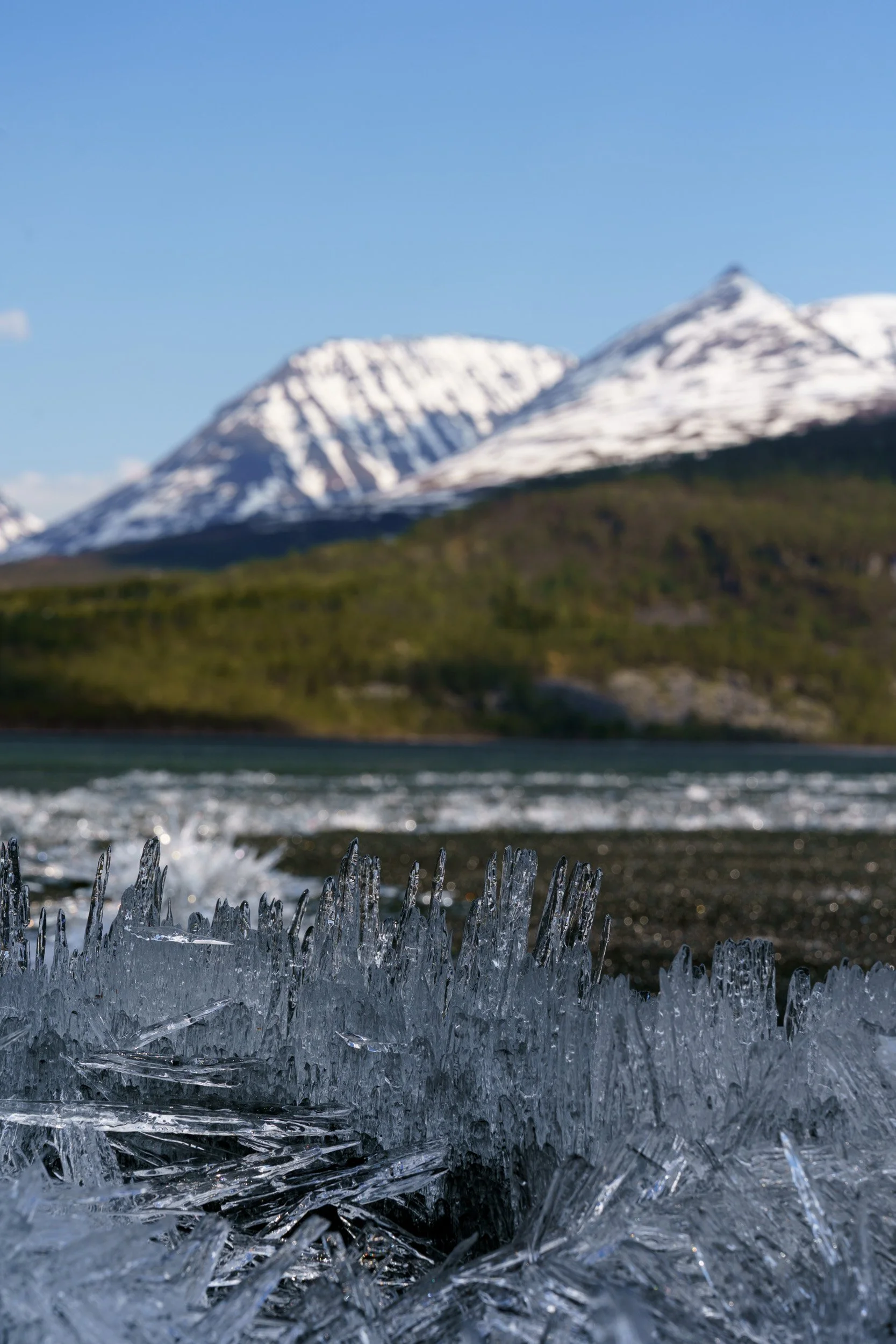 20240528_sukkwan_island BDE06249.jpg