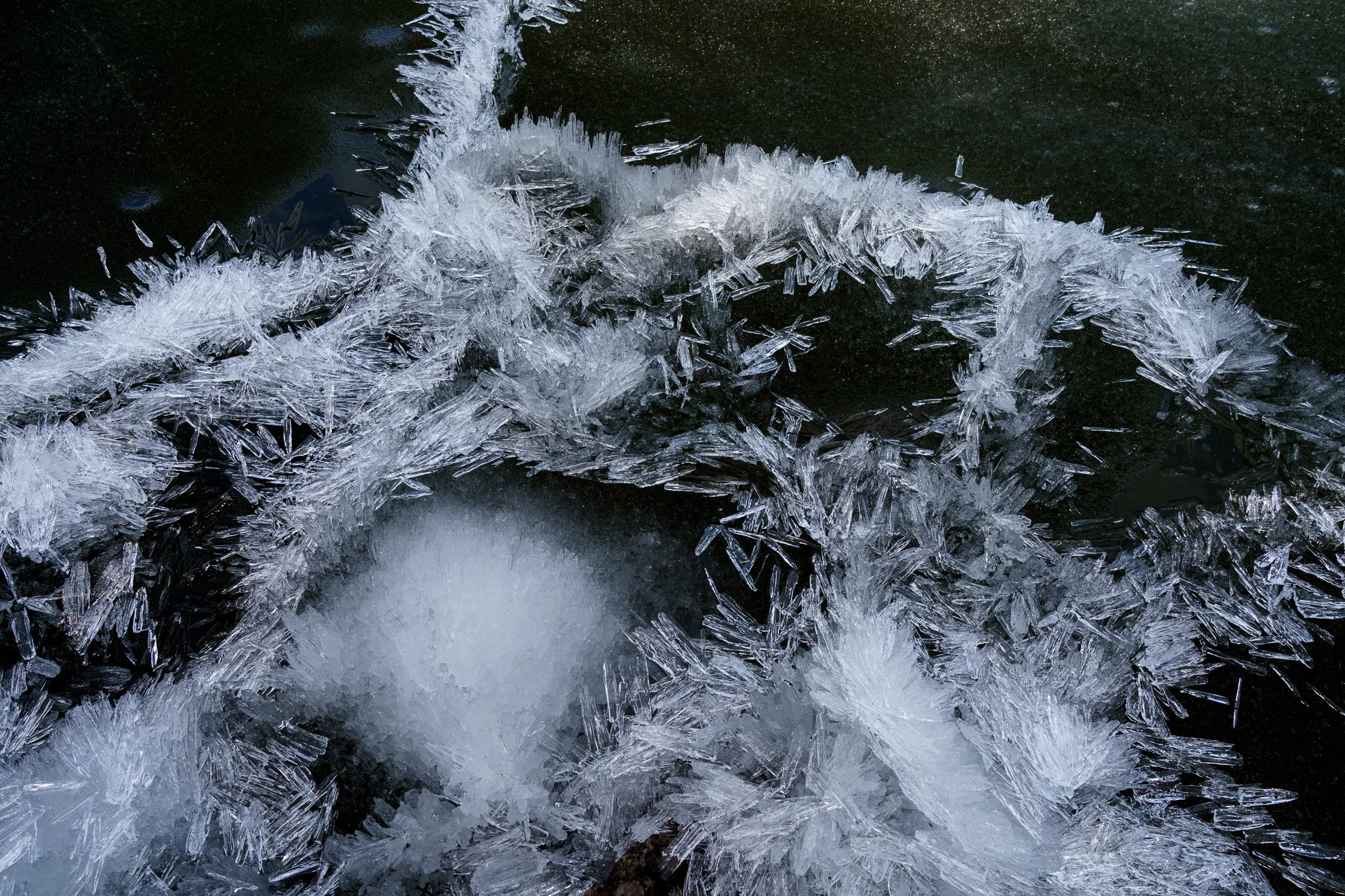 20240528_sukkwan_island BDE06232.jpg