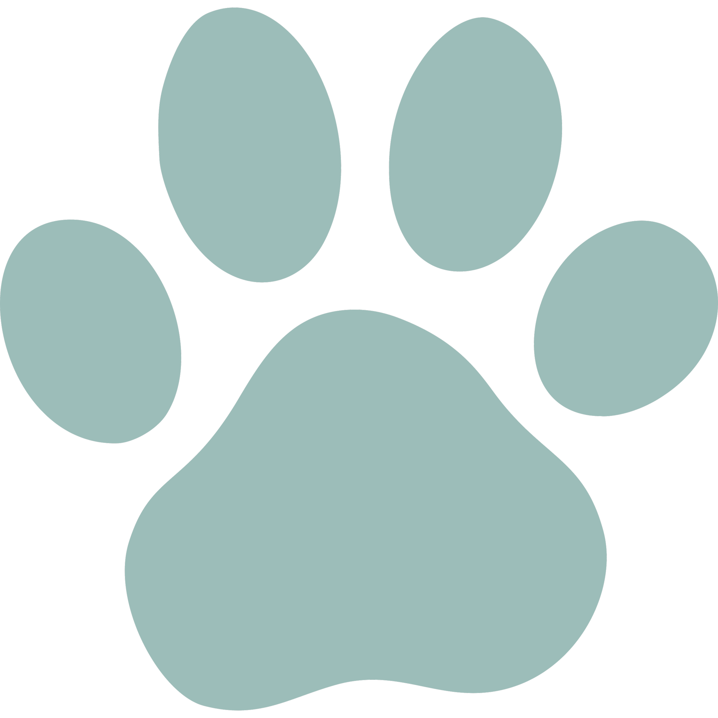 Immagine di un'icona di una impronta di zampa di animale stilizzata e semplice di colore azzurro chiaro su sfondo nero.