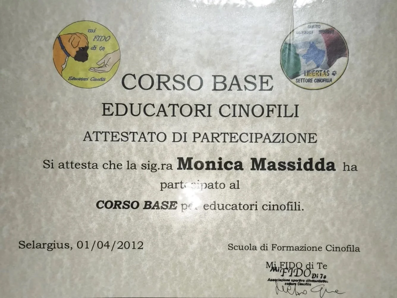 WhatsApp Image 2026-03-06 at 22.31.48.jpeg