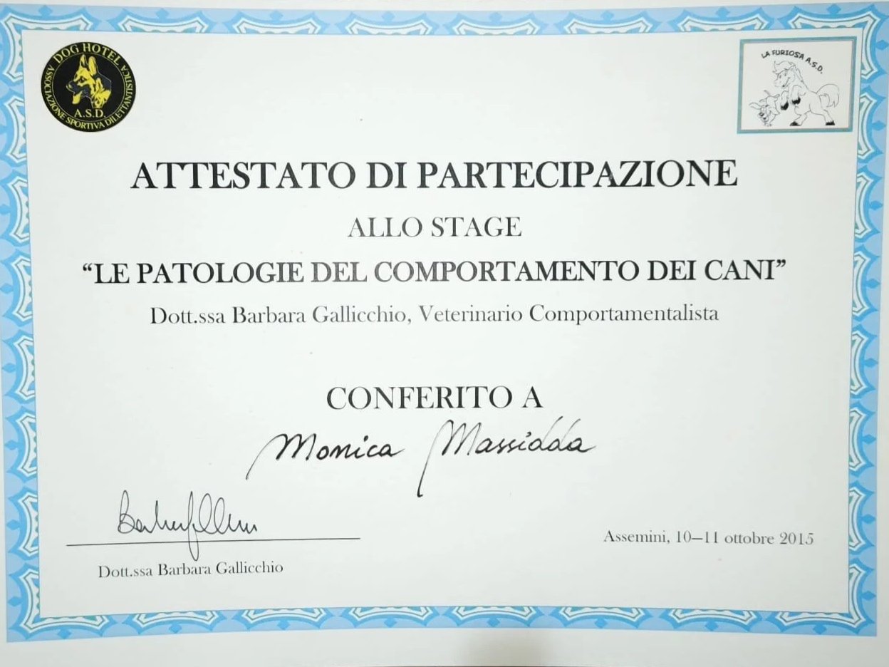 WhatsApp Image 2026-03-06 at 22.31.49 (4).jpeg