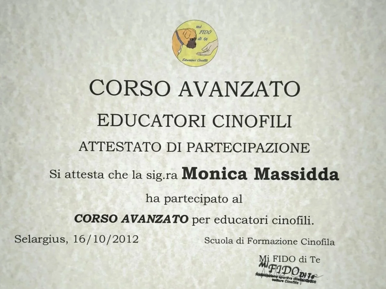 WhatsApp Image 2026-03-06 at 22.31.49.jpeg