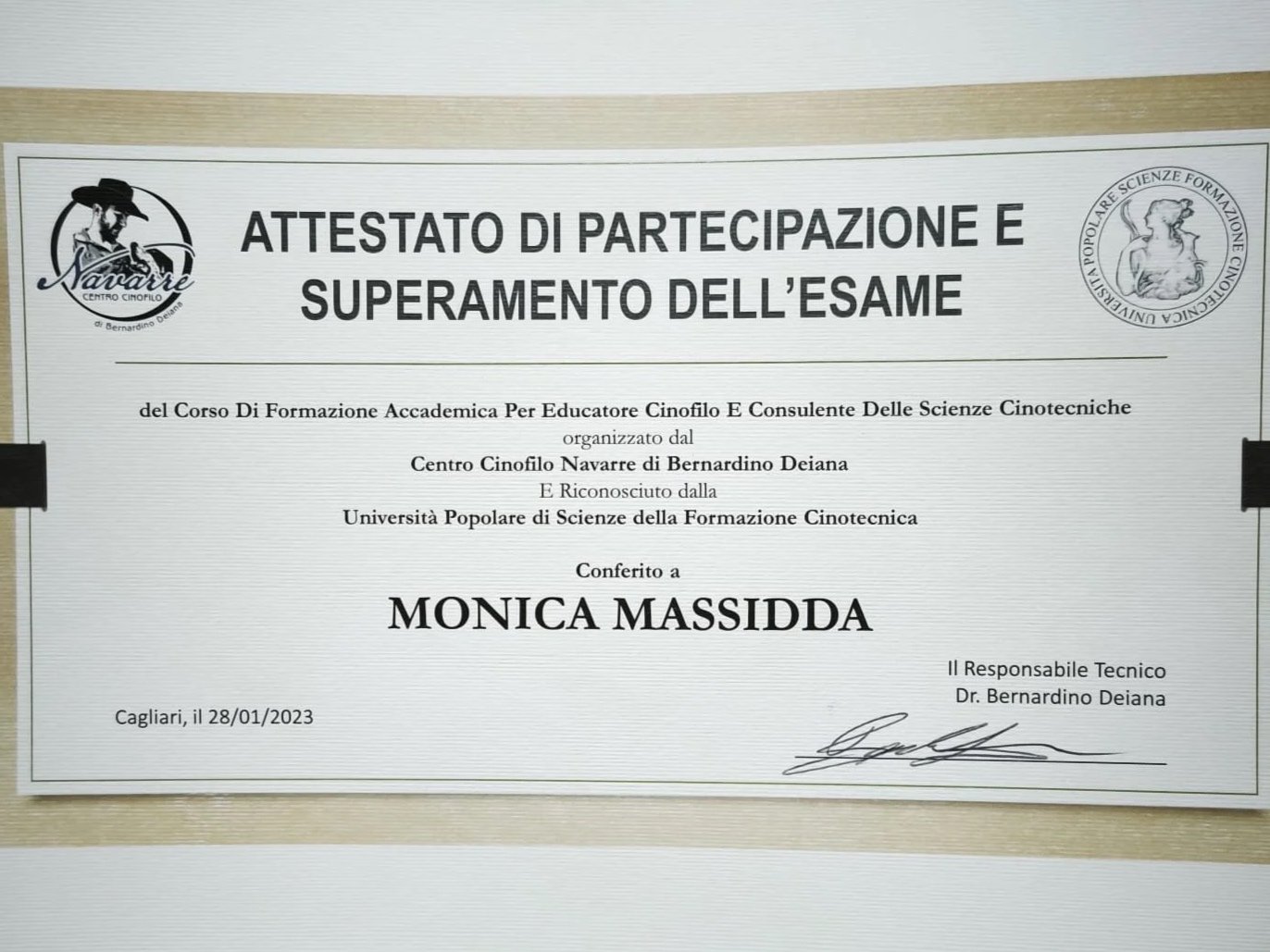 WhatsApp Image 2026-03-06 at 22.31.50.jpeg