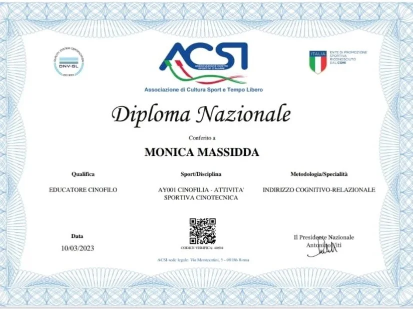 WhatsApp Image 2026-03-06 at 22.37.12.jpeg