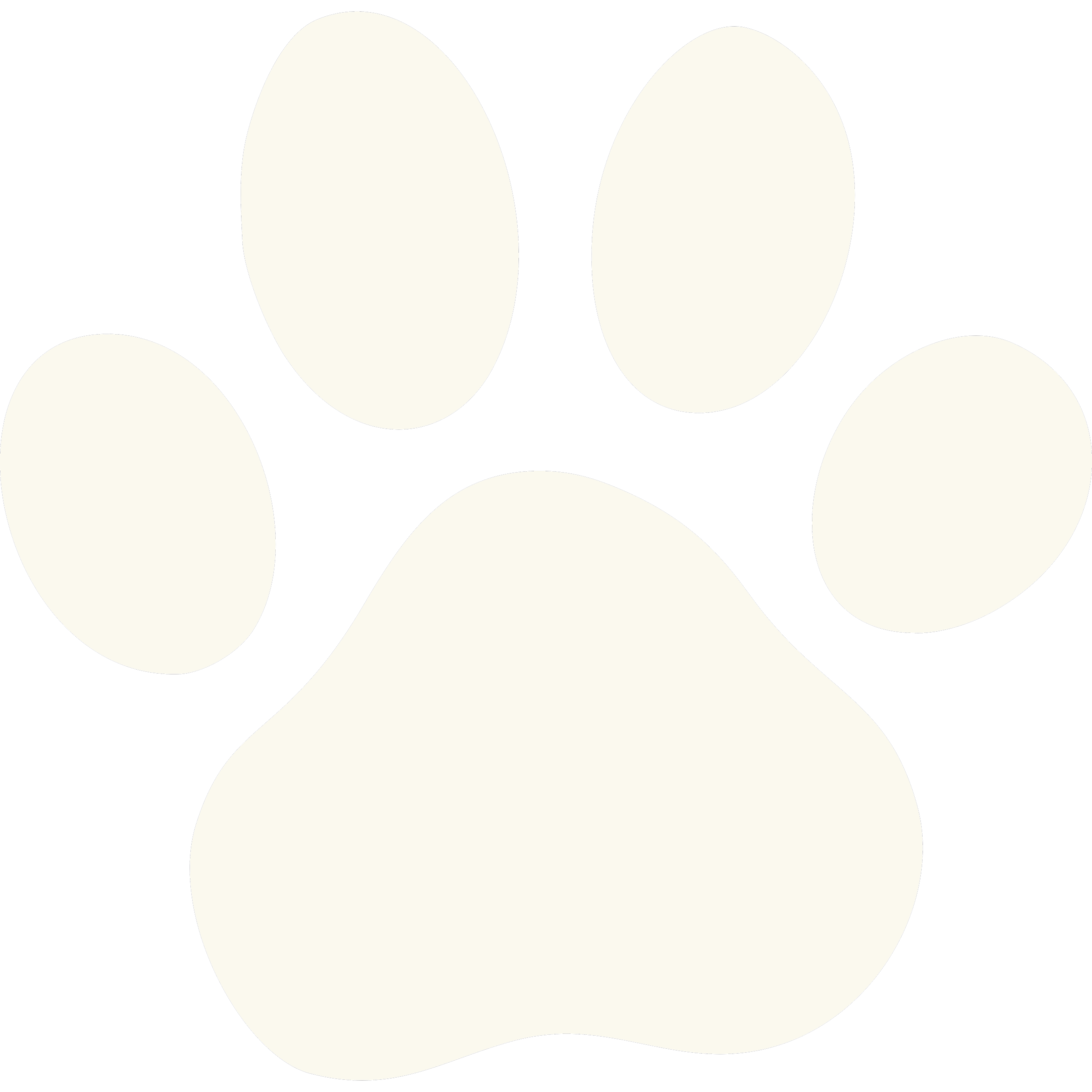 Immagine di un'icona di una zampa di animale, con quattro dita e una padiglione centrale, su sfondo nero.