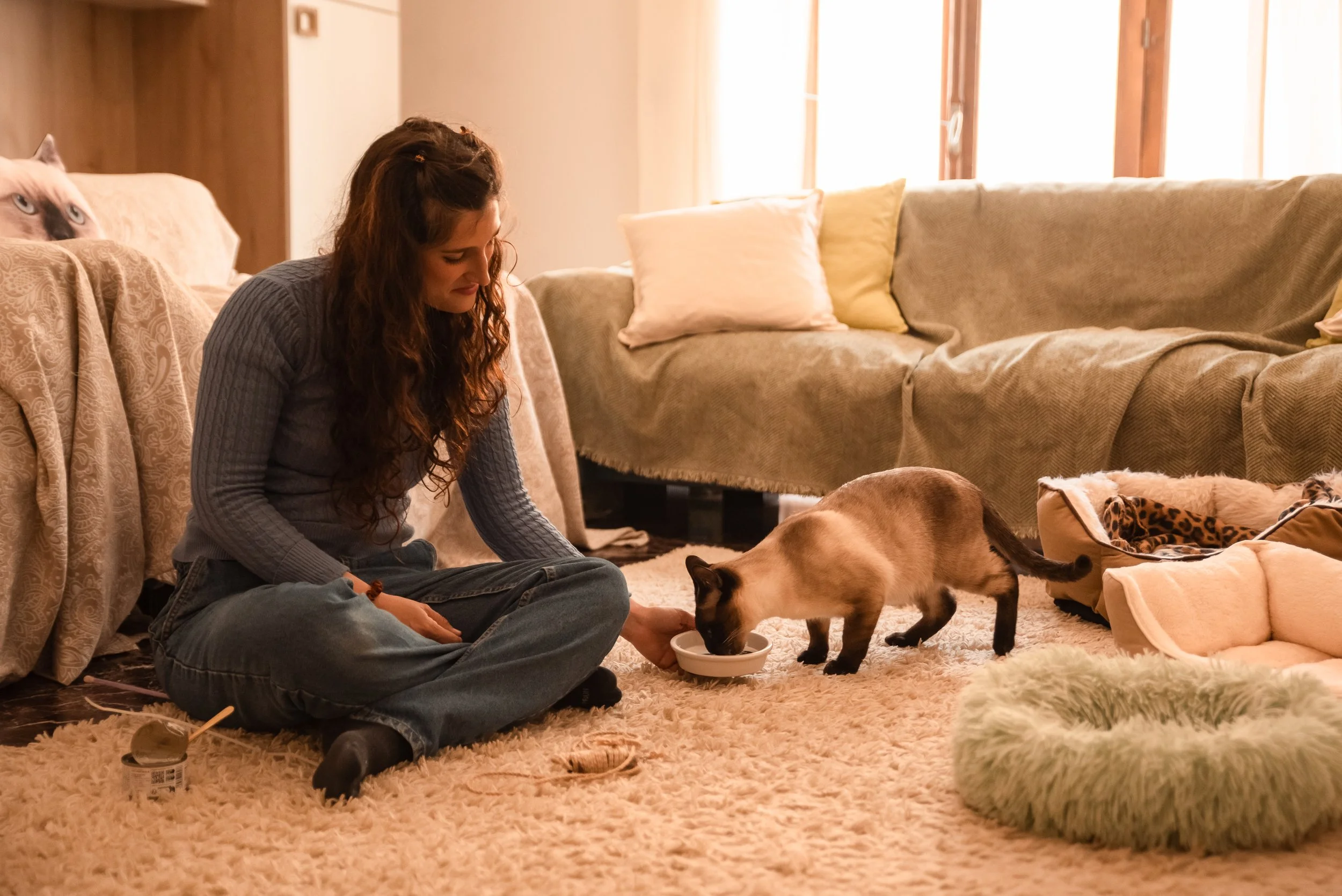 Una donna seduta sul tappeto che dà da mangiare a un gatto siamese in una casa con divano e cuscini.