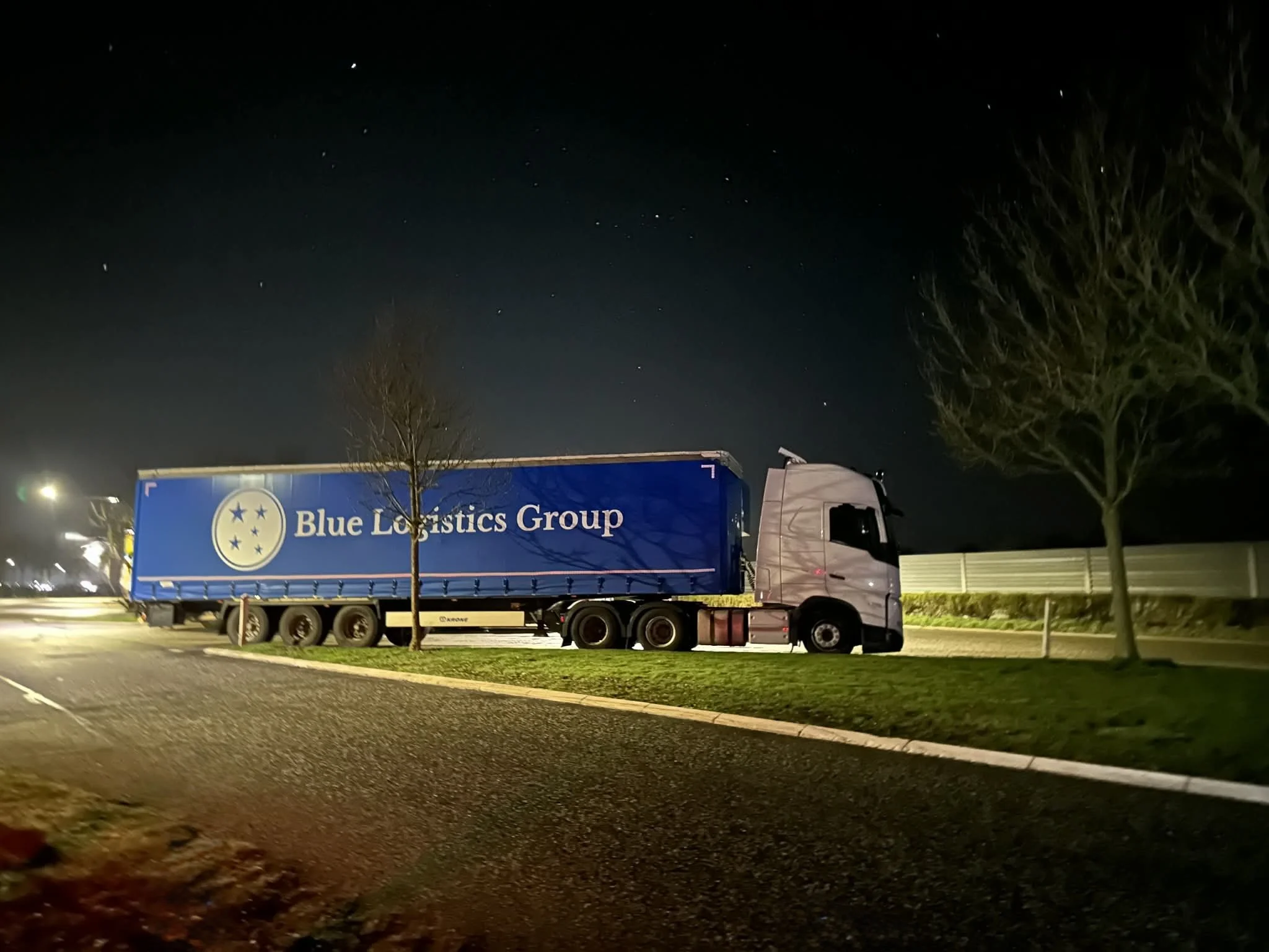 A semi-truck with a blue trailer labeled 'Blue Logistics Group' parked on a grassy lot at night, illuminated by surrounding streetlights, with trees and a fence in the background.