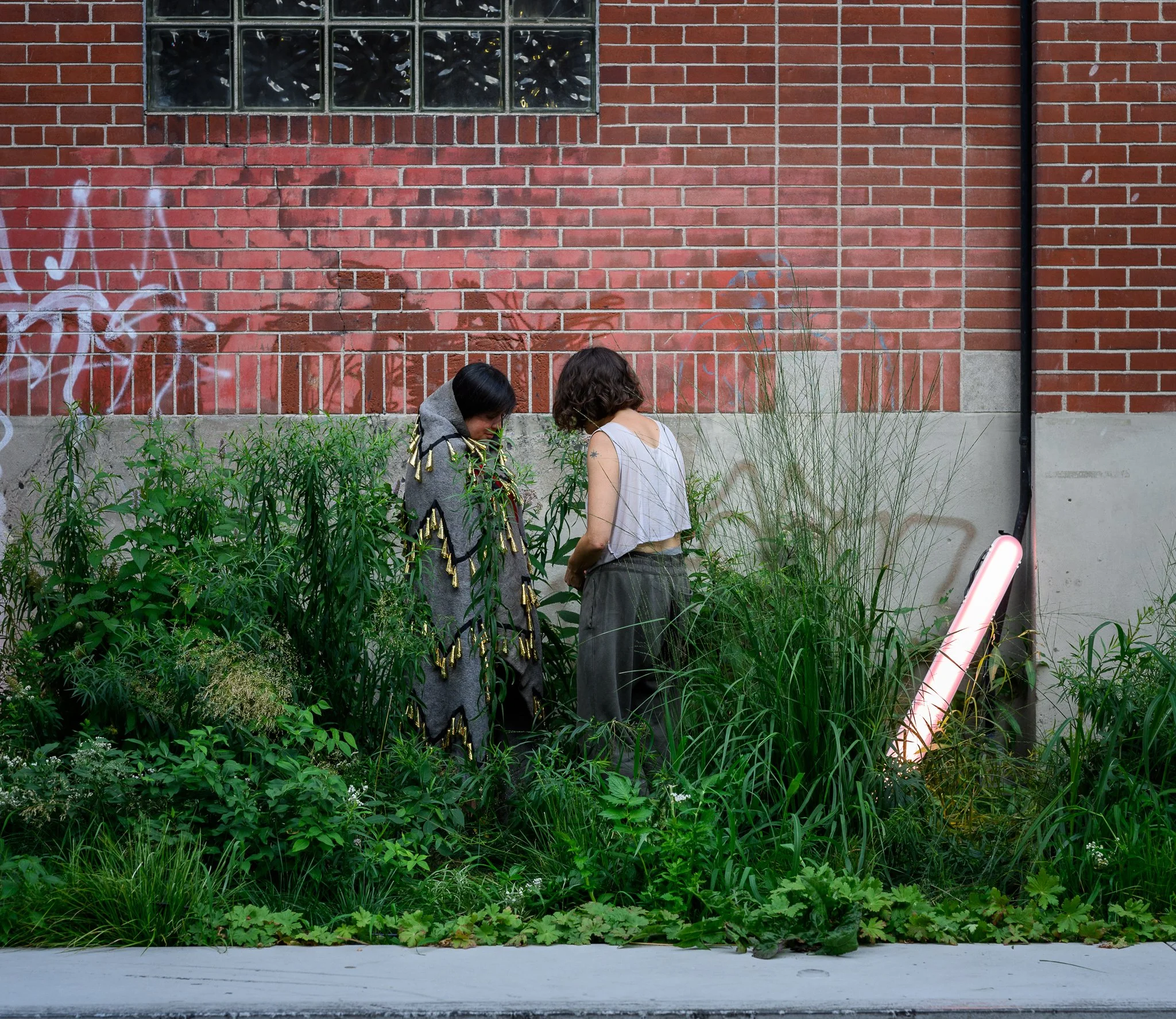Two women stand amidst tall green plants against a brick wall with graffiti, one wearing a gray hoodie and the other a sleeveless top.