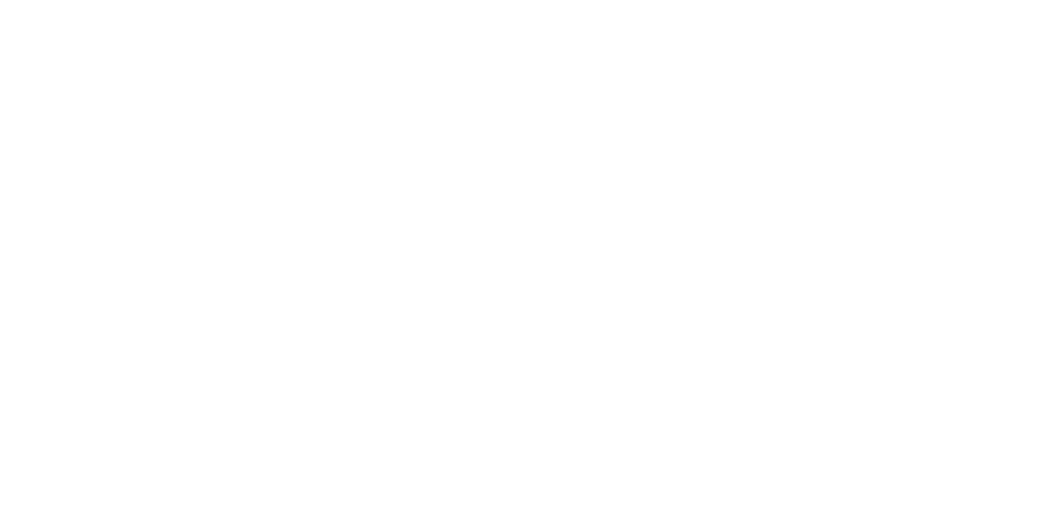 RISE - Festival of Contemporary Dance and Performance