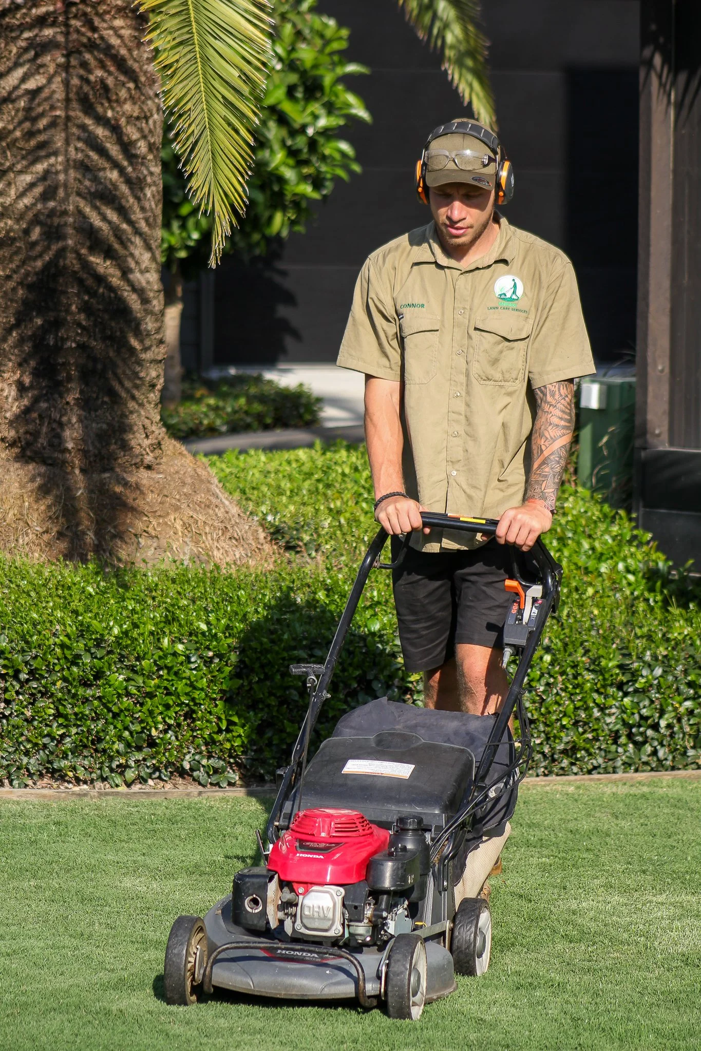 Man in a khaki shirt and black shorts mowing the grass with a red gas-powered lawn mower, standing on a well-manicured lawn with bushes and palm trees in the background. - Meraki Lawn Care Services