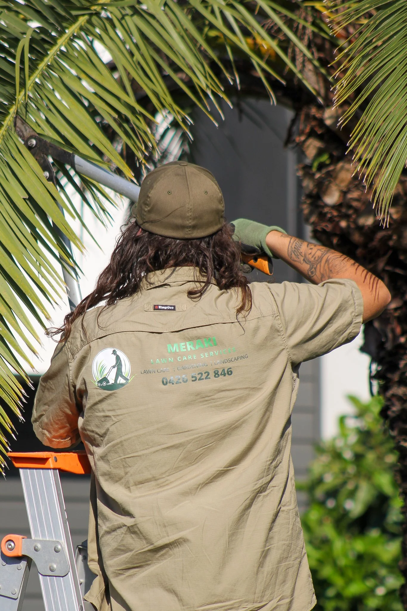 A lawn care worker with long curly hair, wearing a tan work shirt with the logo and contact information for Meraki Lawn Care Services, is trimming a palm tree. The worker is facing away from the camera and is on a ladder. - Meraki Lawn Care Services