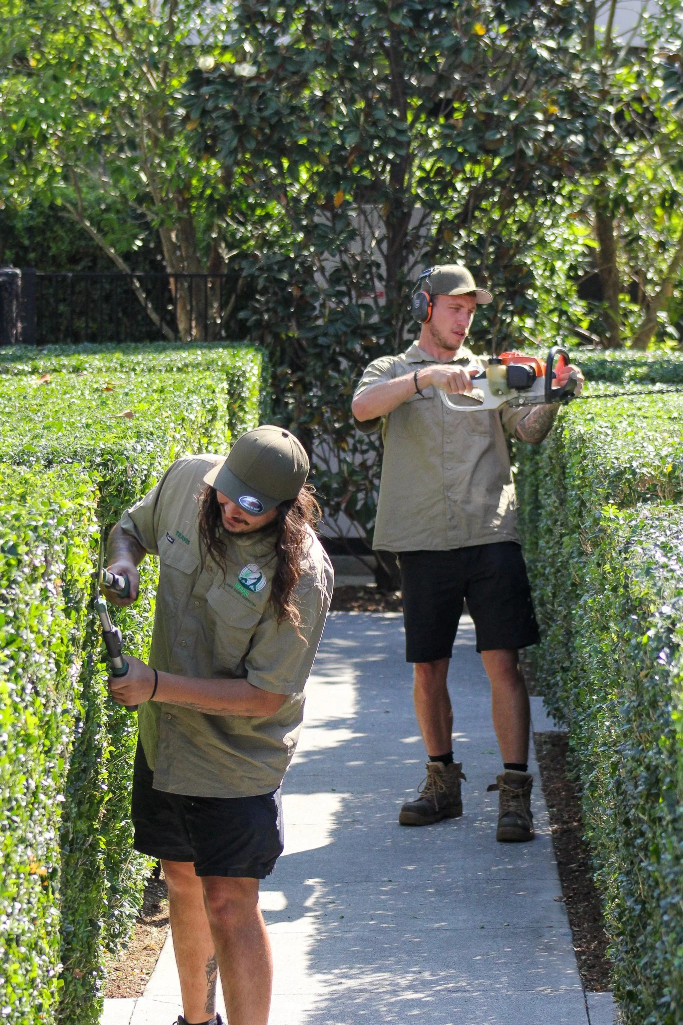 Two workers trimming bushes with hedge trimmers in a sunny garden setting. - Meraki Lawn Care Services