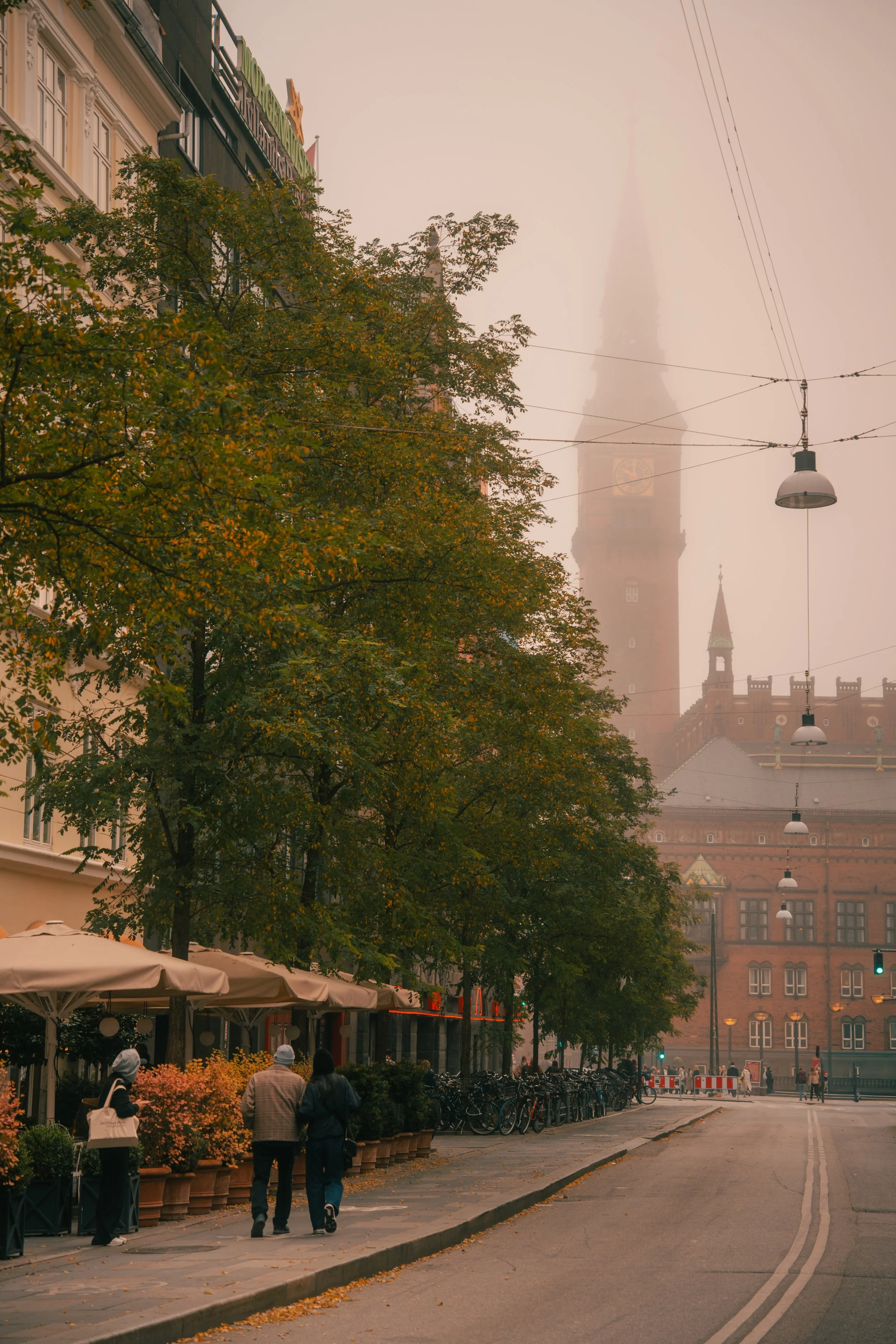 A street scene in a European city with large trees and historic buildings. In the background, a tall clock tower is partially obscured by fog. Pedestrians walk along the sidewalk, and bicycles are parked on the side of the street.