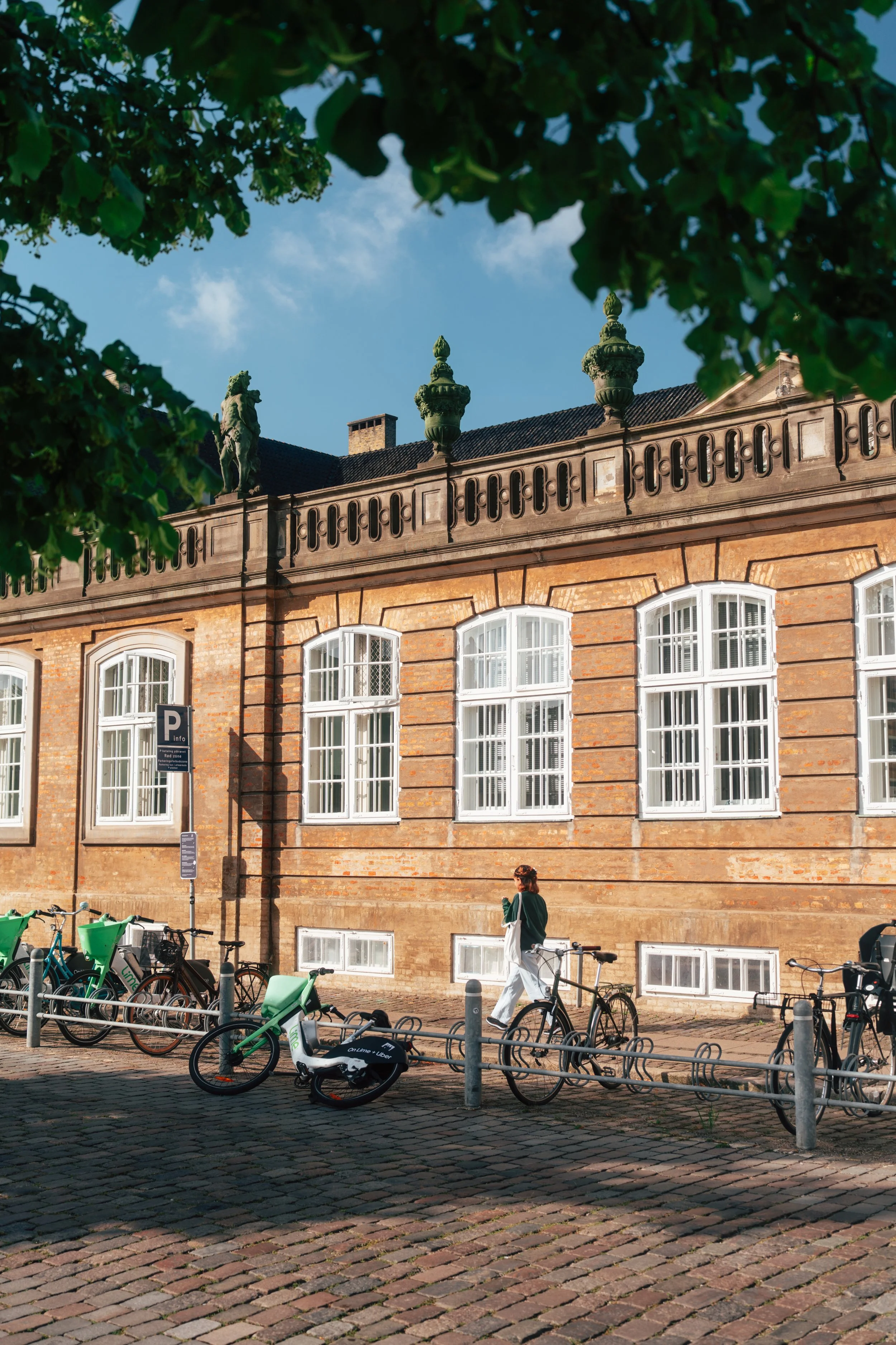 A street scene with a historic brick building with large arched windows, two street signs, and a row of parking bikes, a woman walking a bicycle in front, green trees, and a clear blue sky.