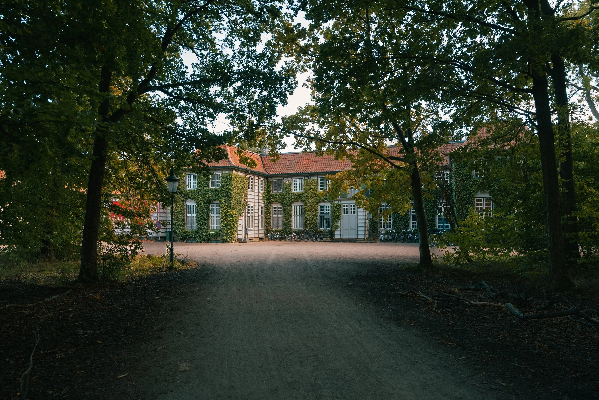 A view of a large building covered with green ivy, surrounded by trees with green leaves, and an open pathway leading towards the building, in a park-like setting.