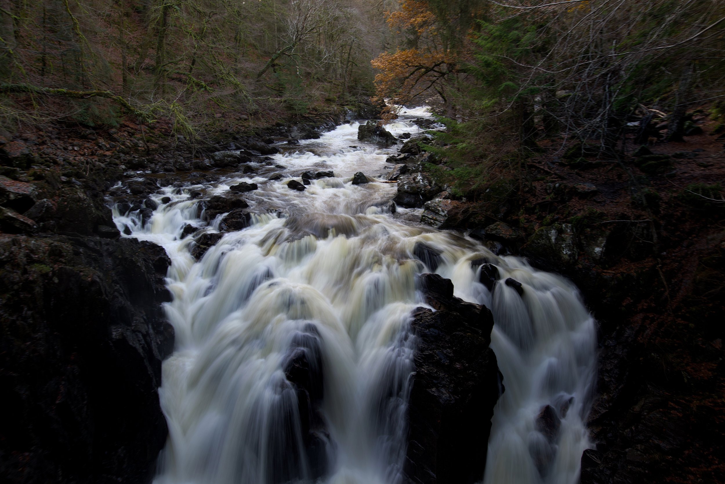 Image 27-11-2023 at 13.jpeg