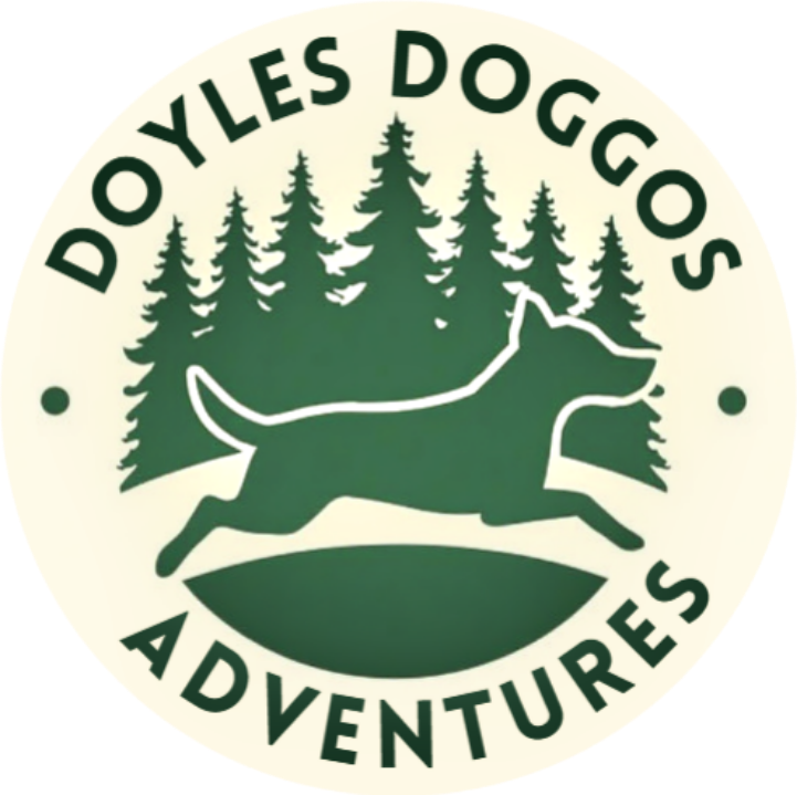 DOYLES DOGGOS ADVENTURES 