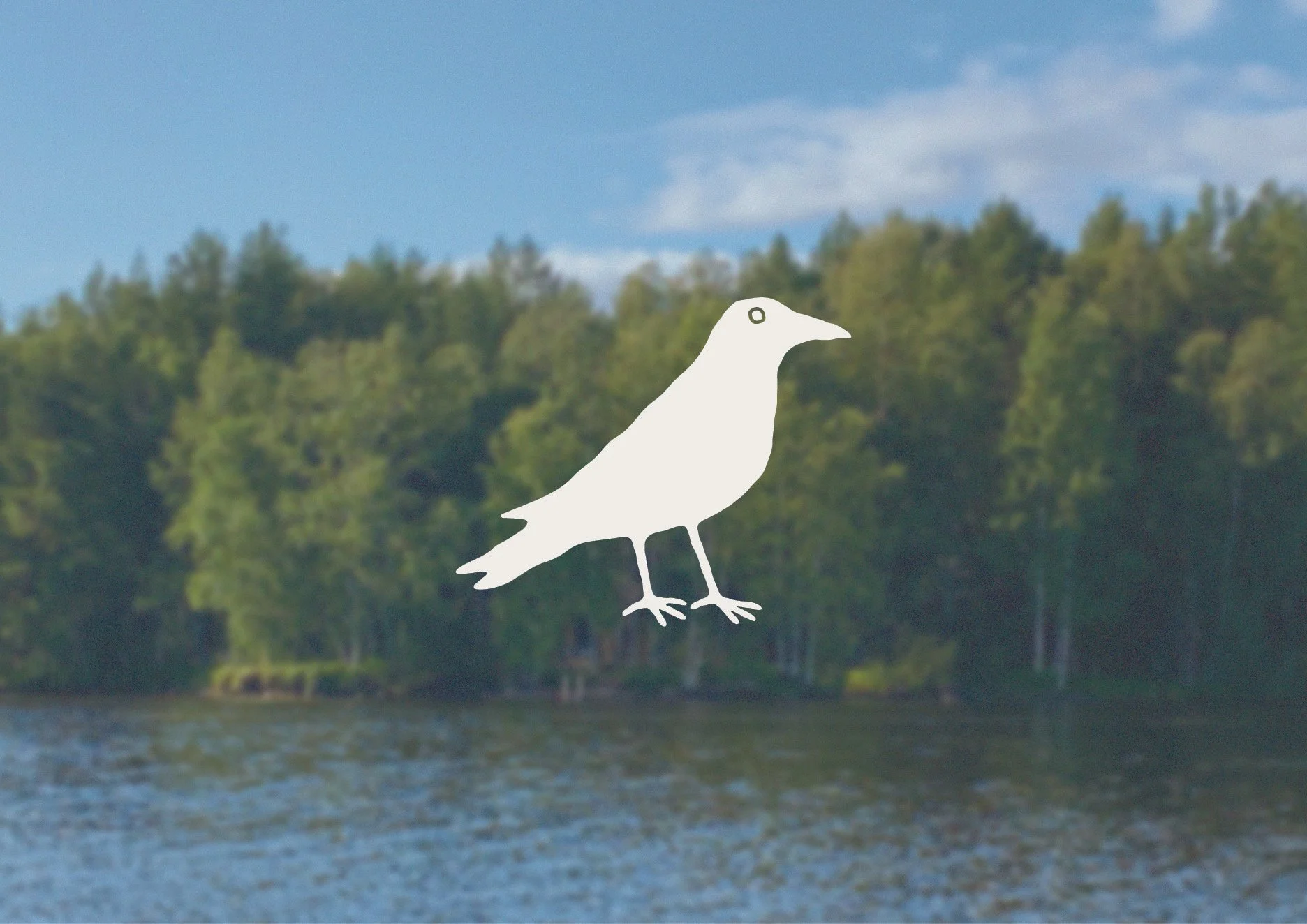 banner.jpg
