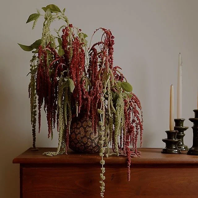 Inside my pinterest board - October wedding incoming

#freelancedesigner #wedding2025