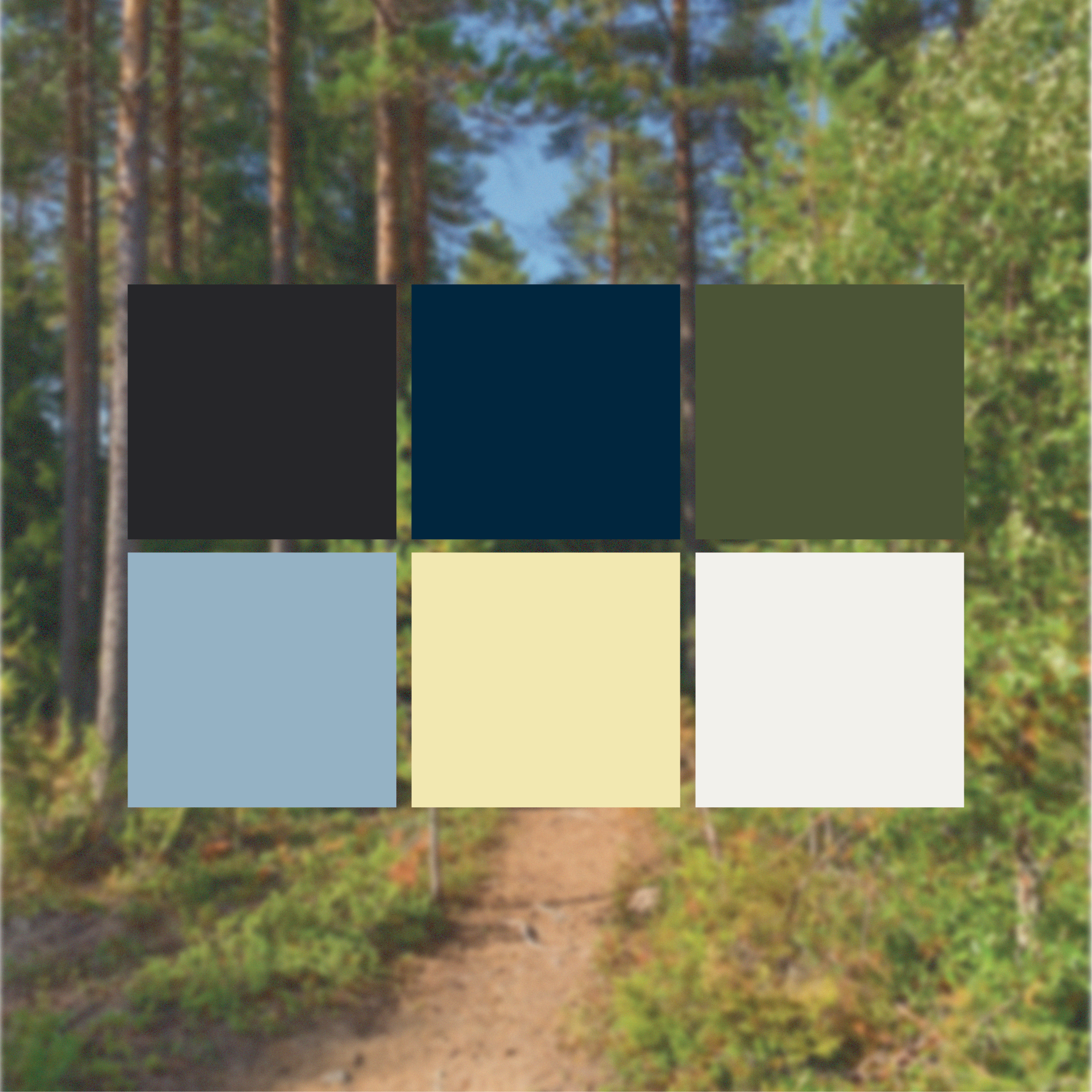 Long Crow Website-02.png