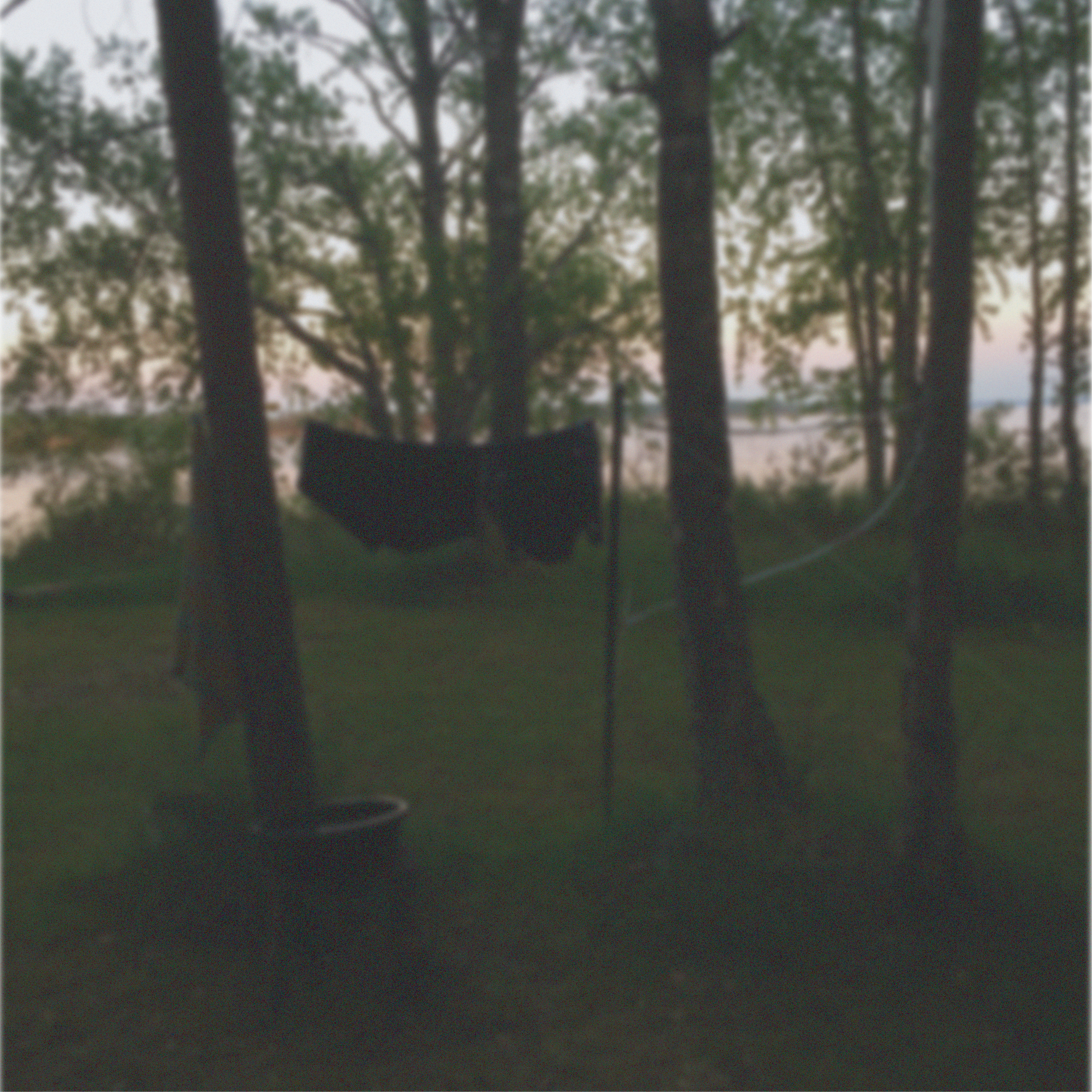 Long Crow Website-05.png