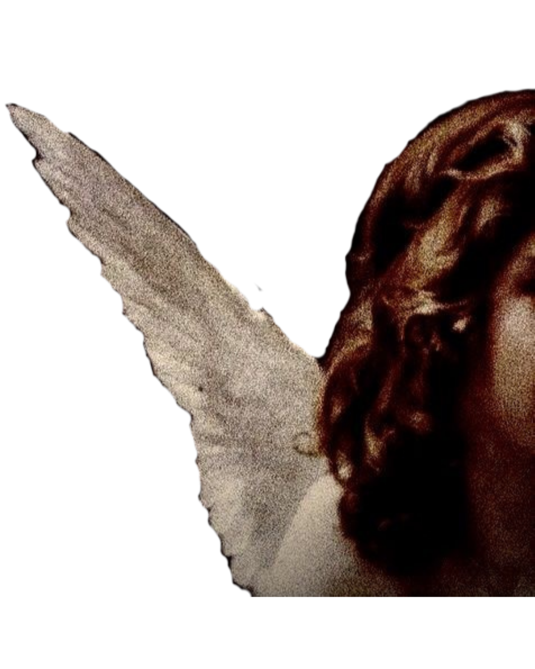 Close-up of a person with brown, wavy hair and white textured wings on a black background.