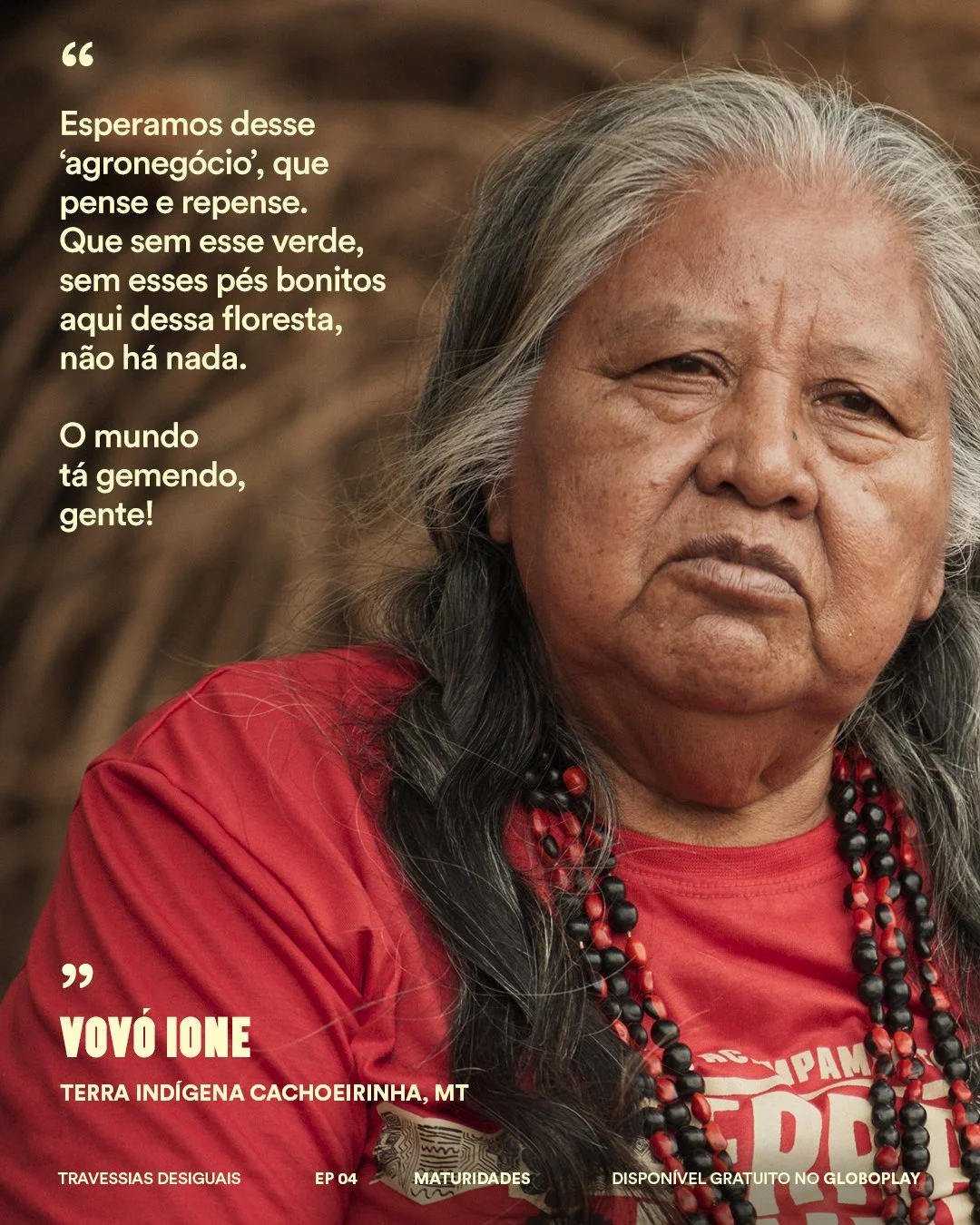 TD_TERRASINDIGENAS_06.jpg