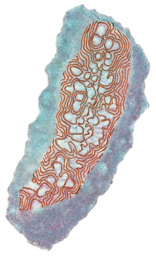 Watercolor painting of an abstracted rock with with a textured blue and purple body and orange lines forming a pattern across its surface.