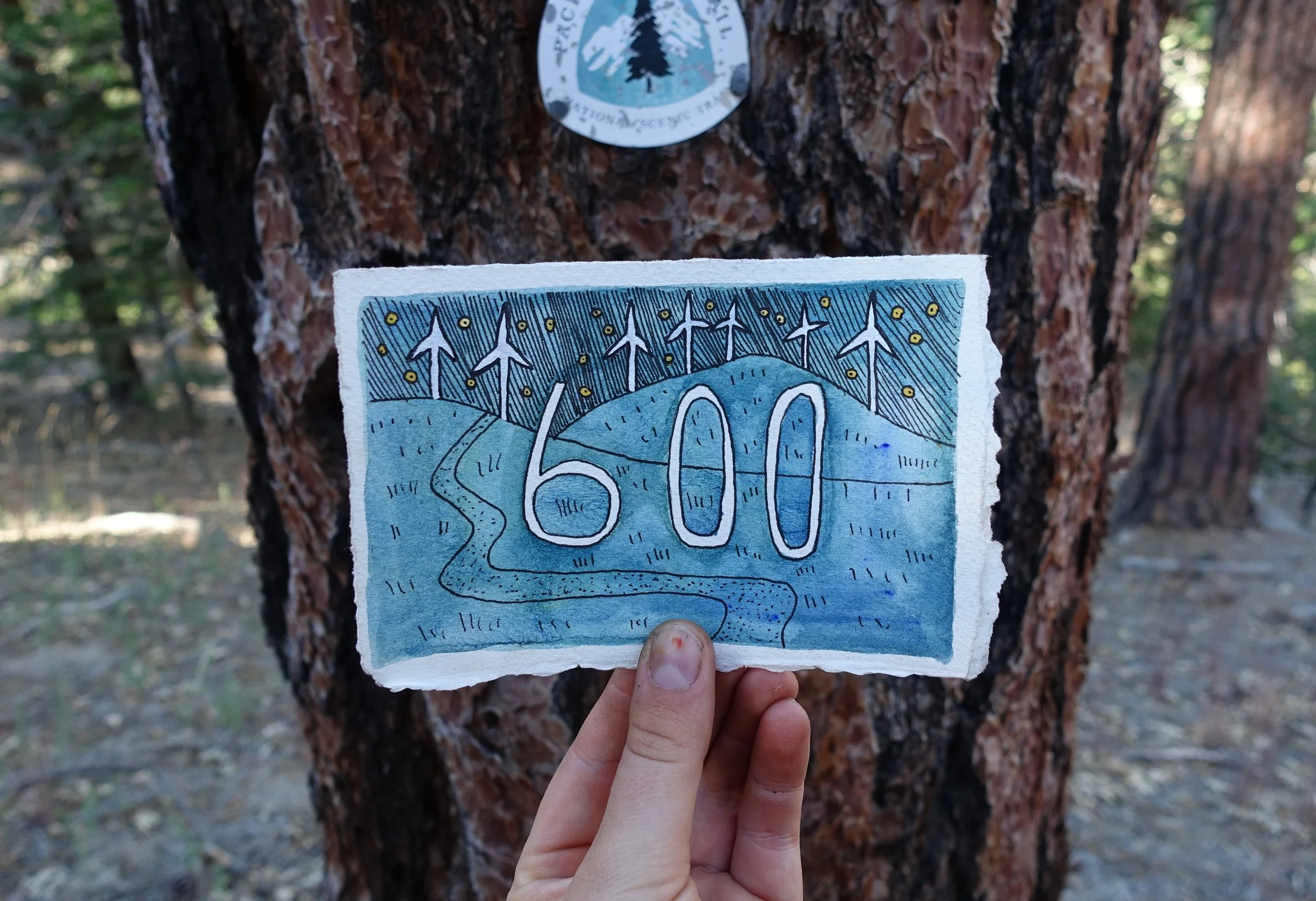 600.jpg
